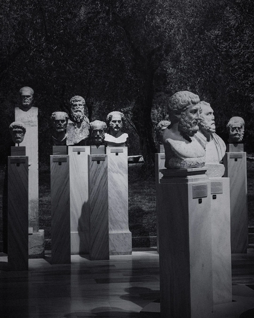 Marble busts in garden.jpg