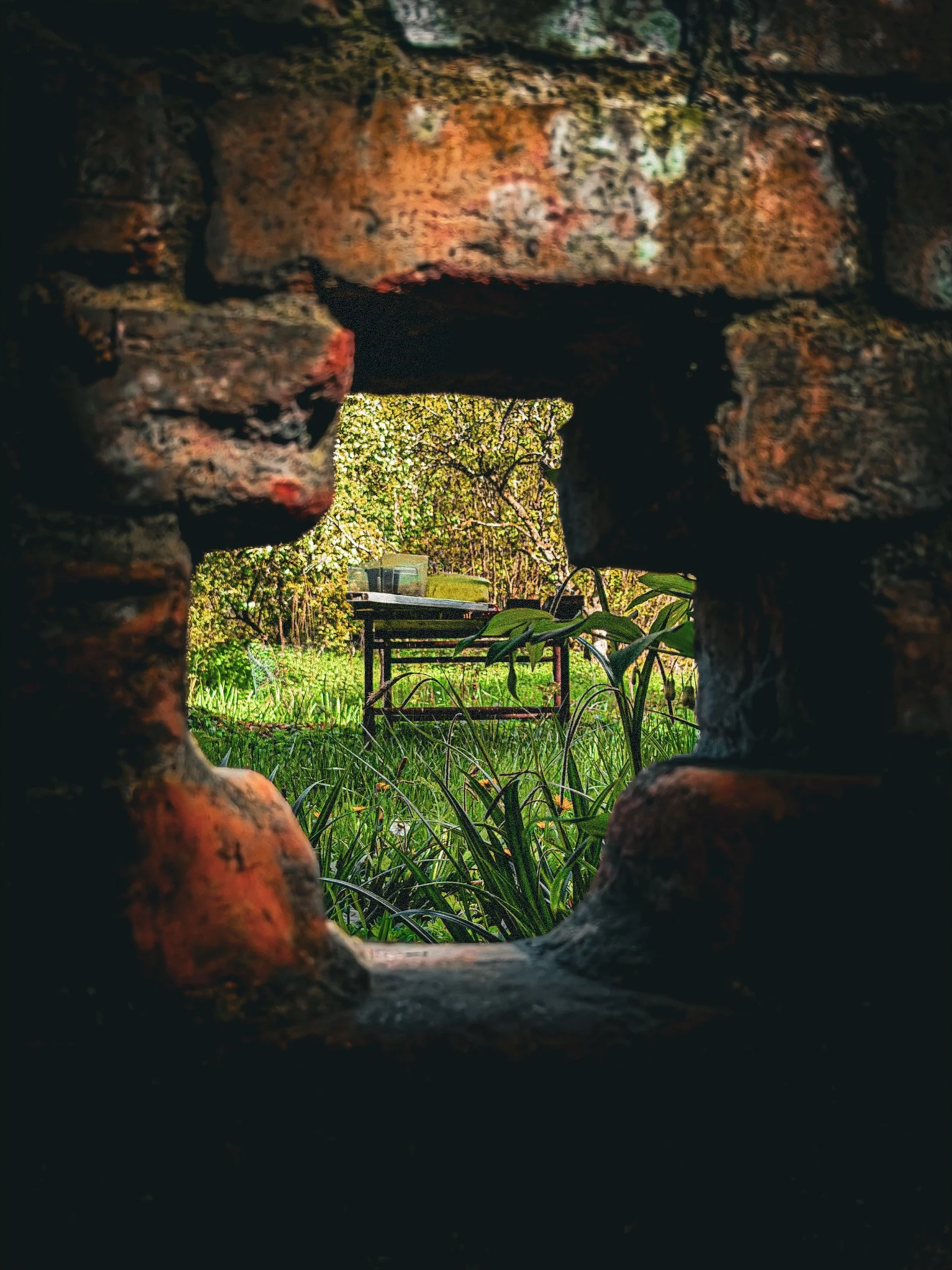 Broken+brick+wall+to+overgrown+garden.png