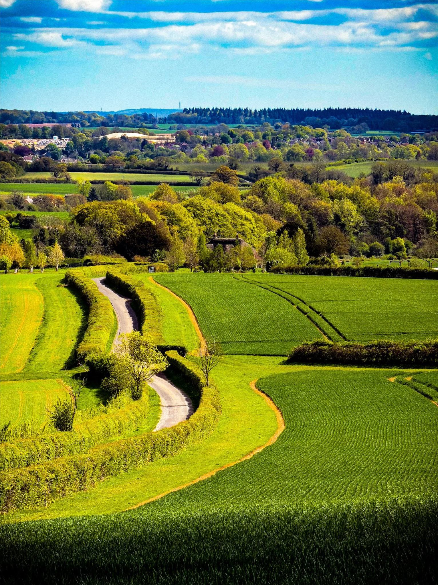 Winding+lane+through+green+fields.png