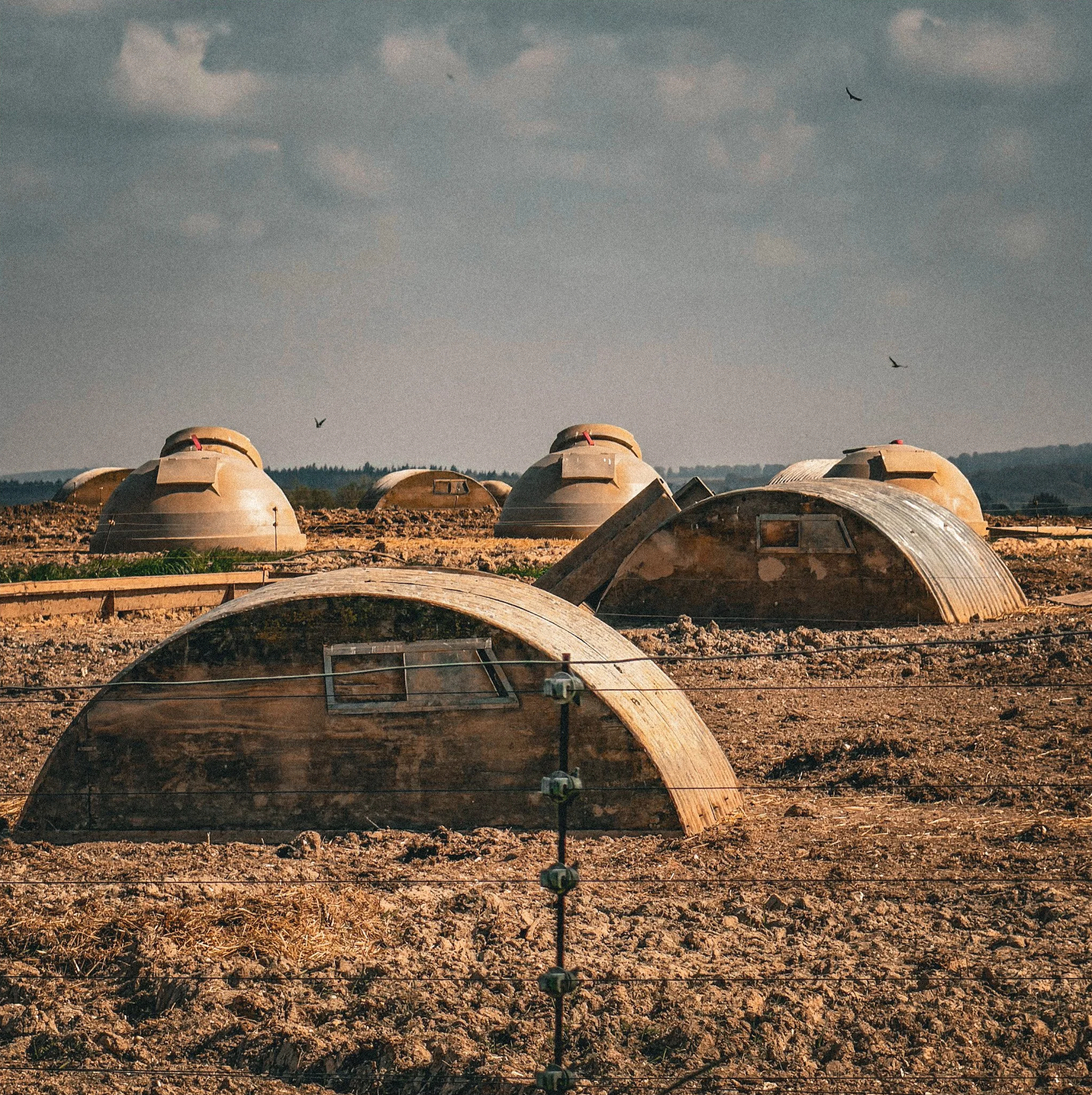 Pig+ark+domes+in+barren+earth.png