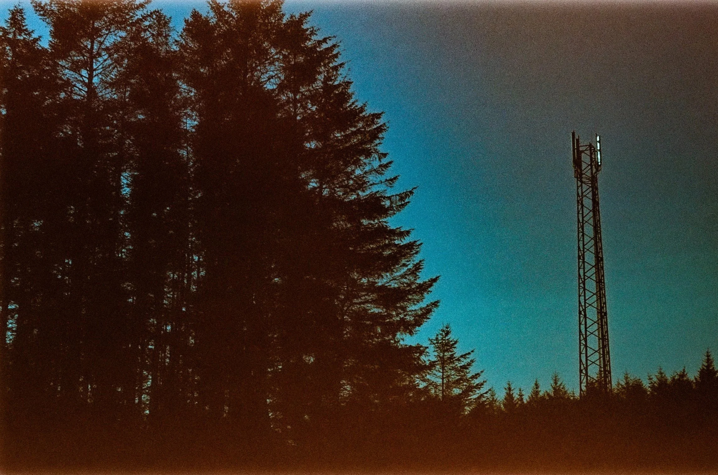 0018.jpg