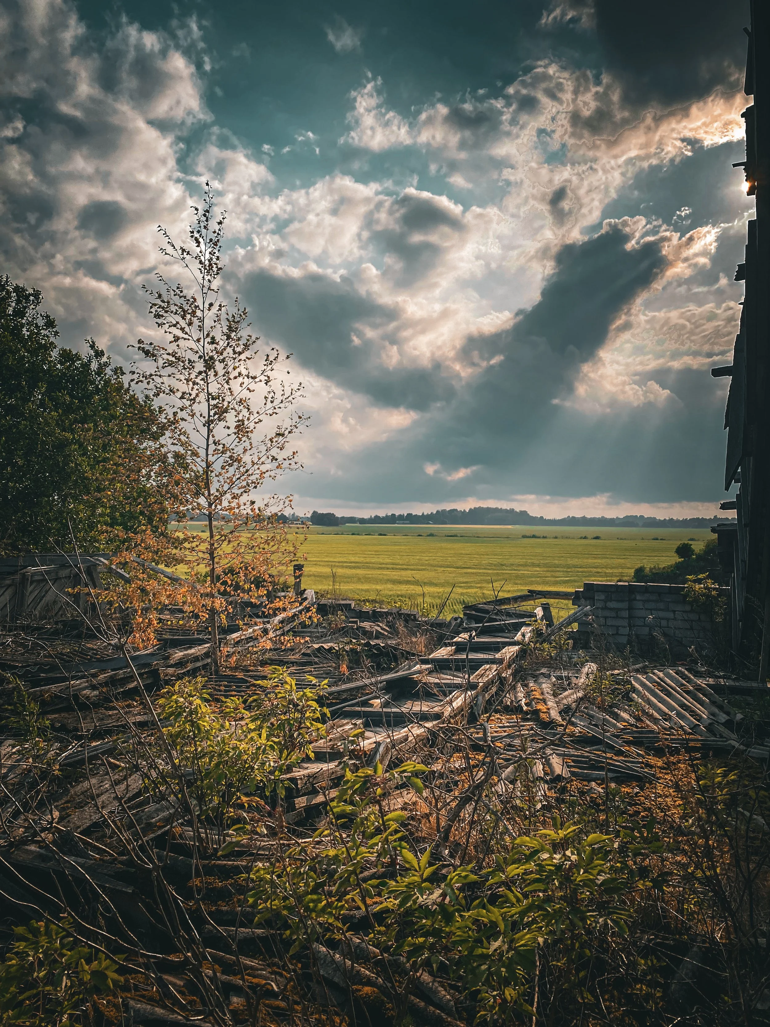 Collapsed barn, lone tree, dramatic sky.JPG