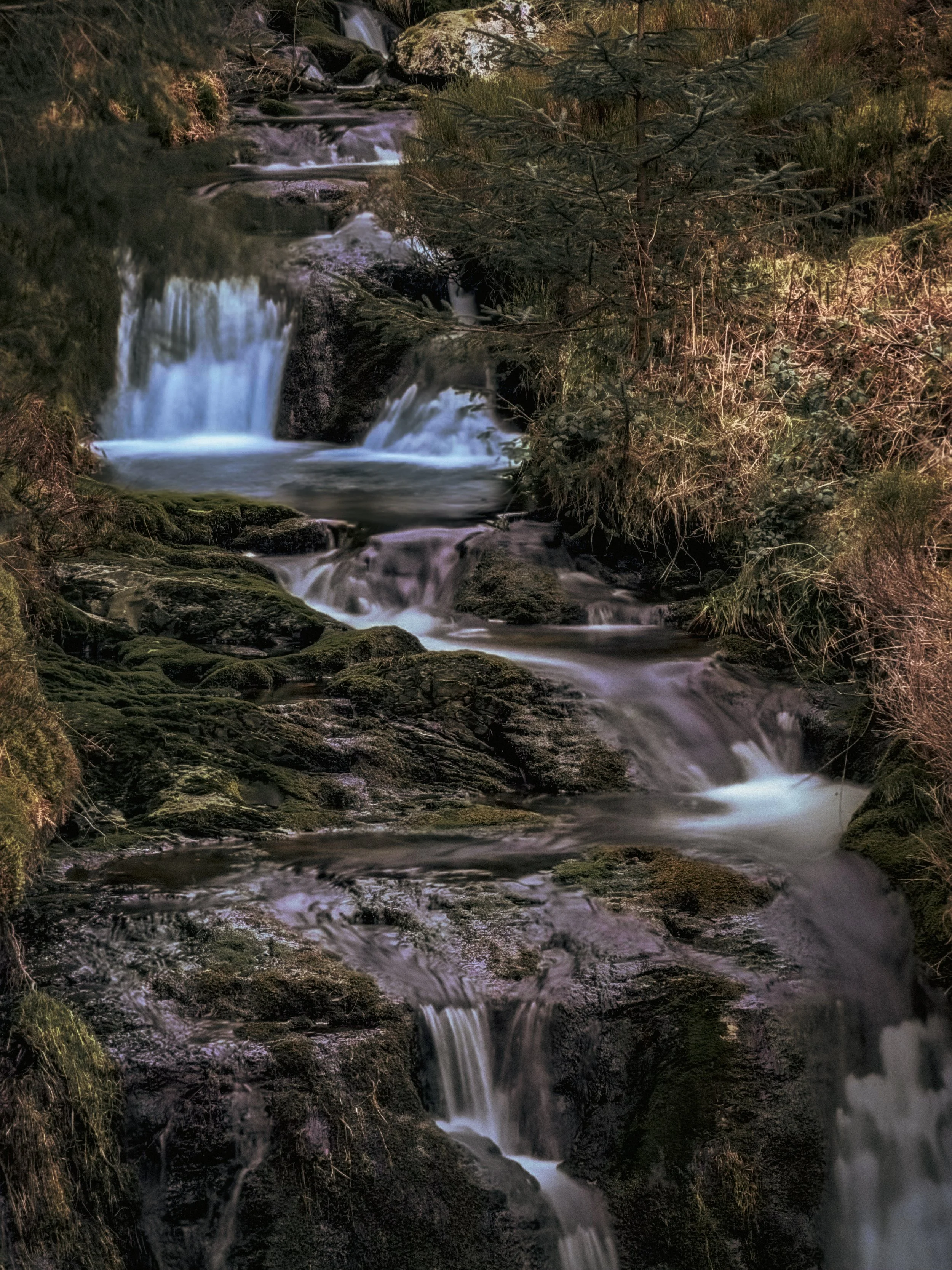 A small, multi-tiered waterfall flowing over moss-covered rocks in a forested area surrounded by trees and bushes.