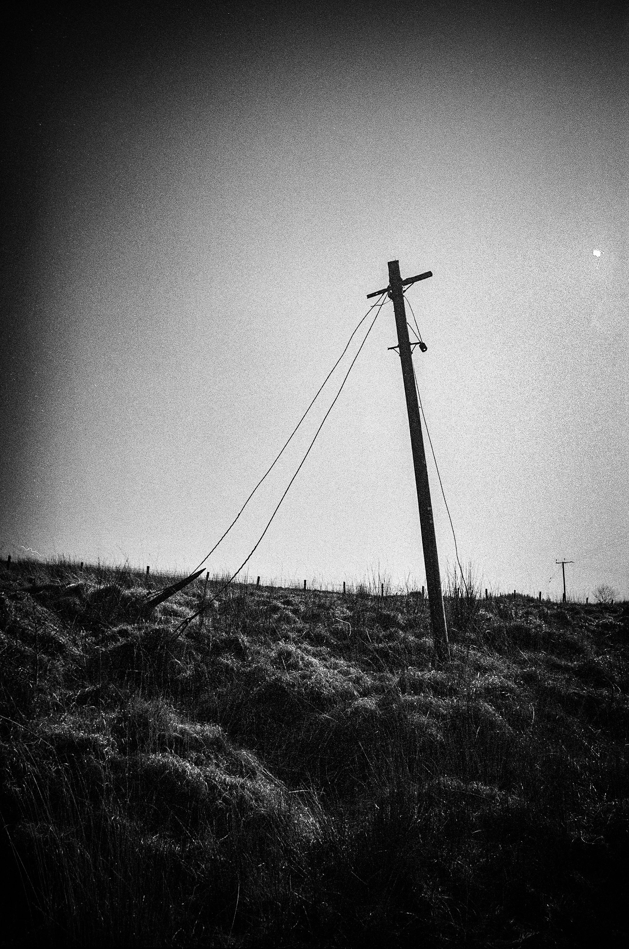 Leaning telegraph pole, B&W film.jpg