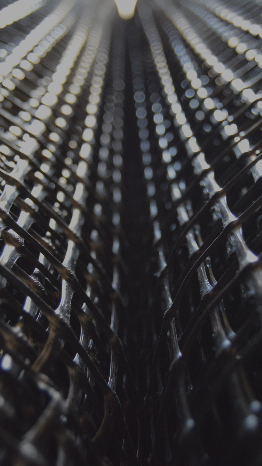 Geogrid