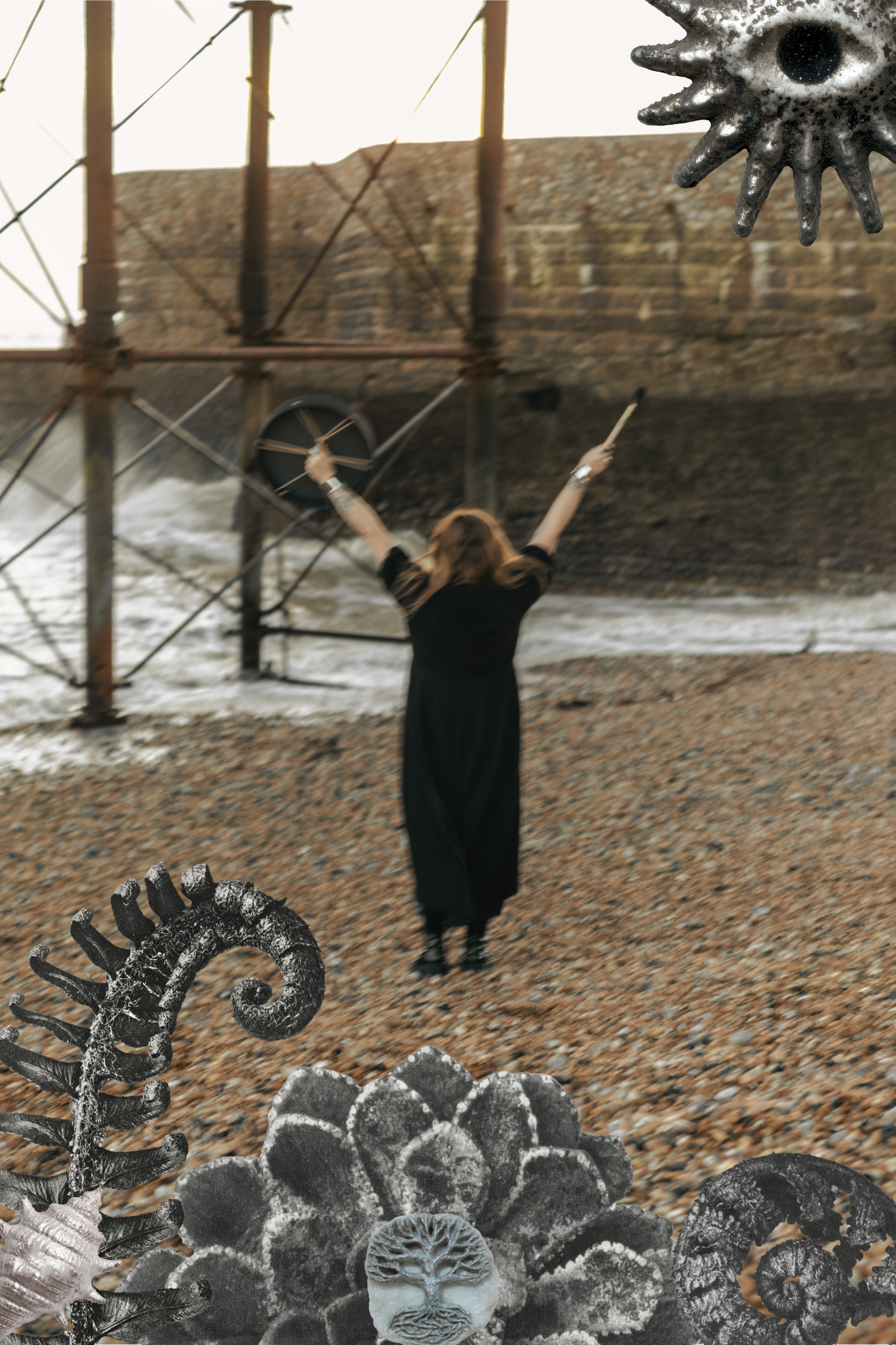 A woman withair dressed in black standing on a pebble beach, facing away on a cloudy day, with photos of various sea creatures and marine life frozen and overlaid around her, including mollusks, corals, and a microscopic creature with many tentacle-like appendages.