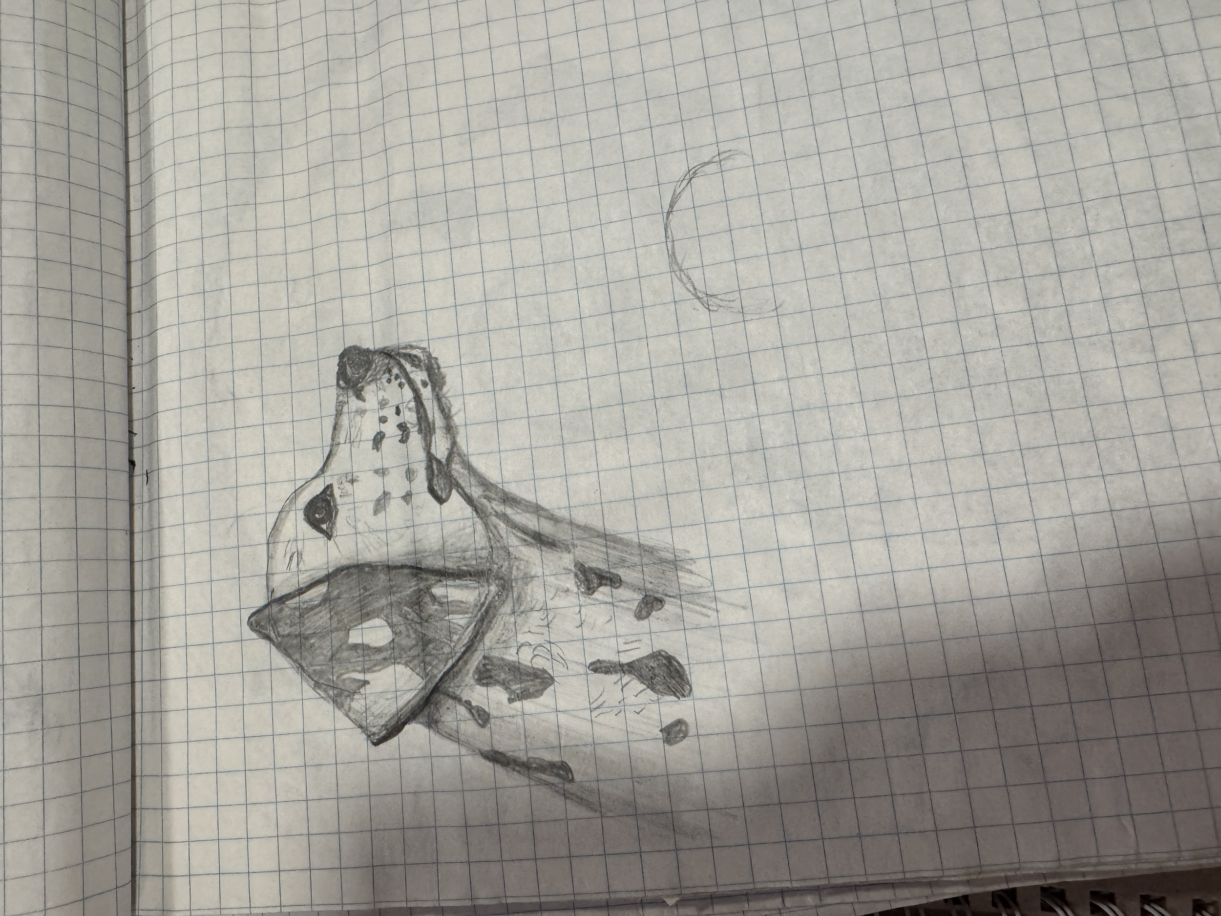 tempImagelnkZun.png