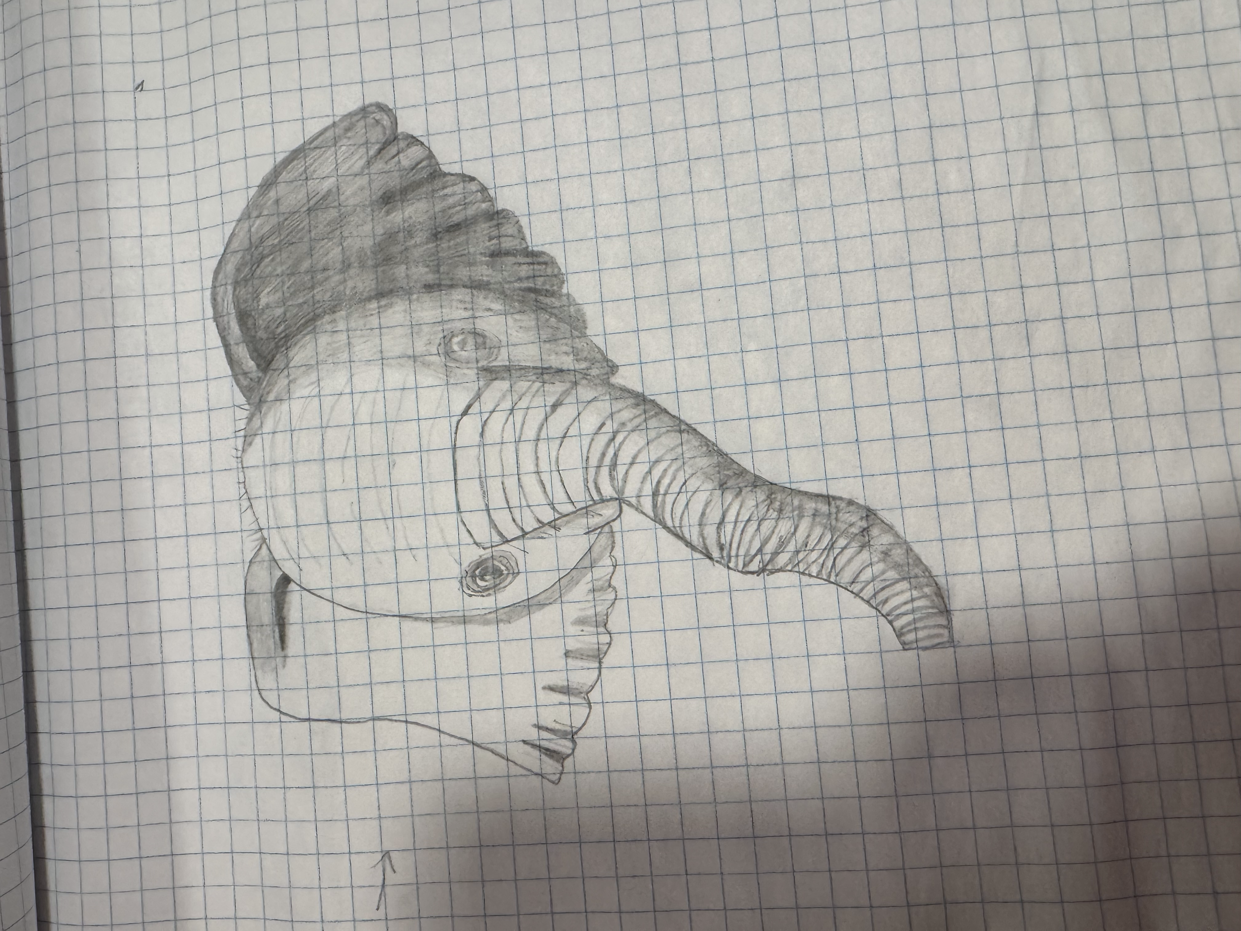 tempImagevUvgHx.png