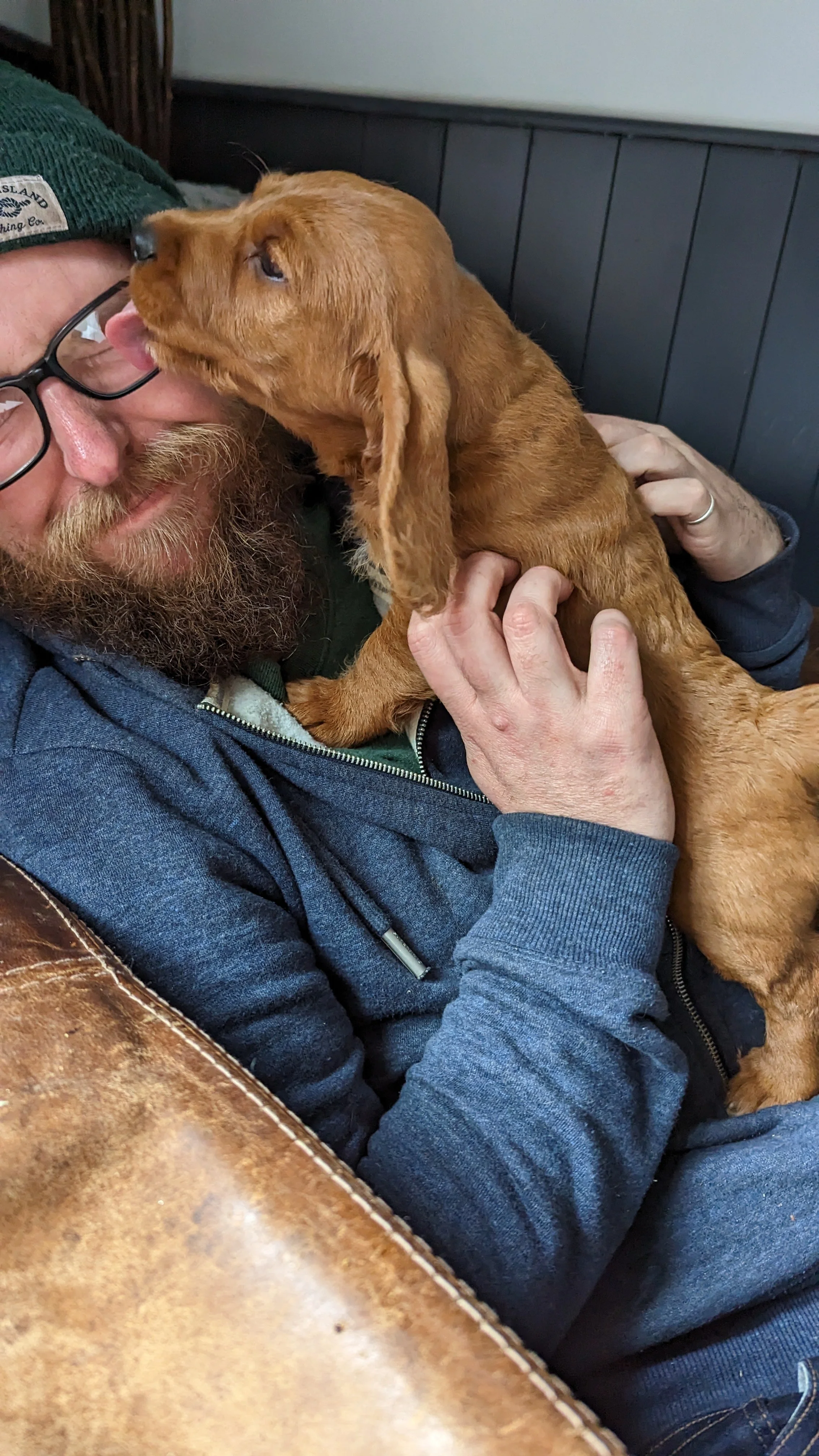 A man with glasses, a beard, and a green beanie, holding and kissing a small brown puppy with long ears.