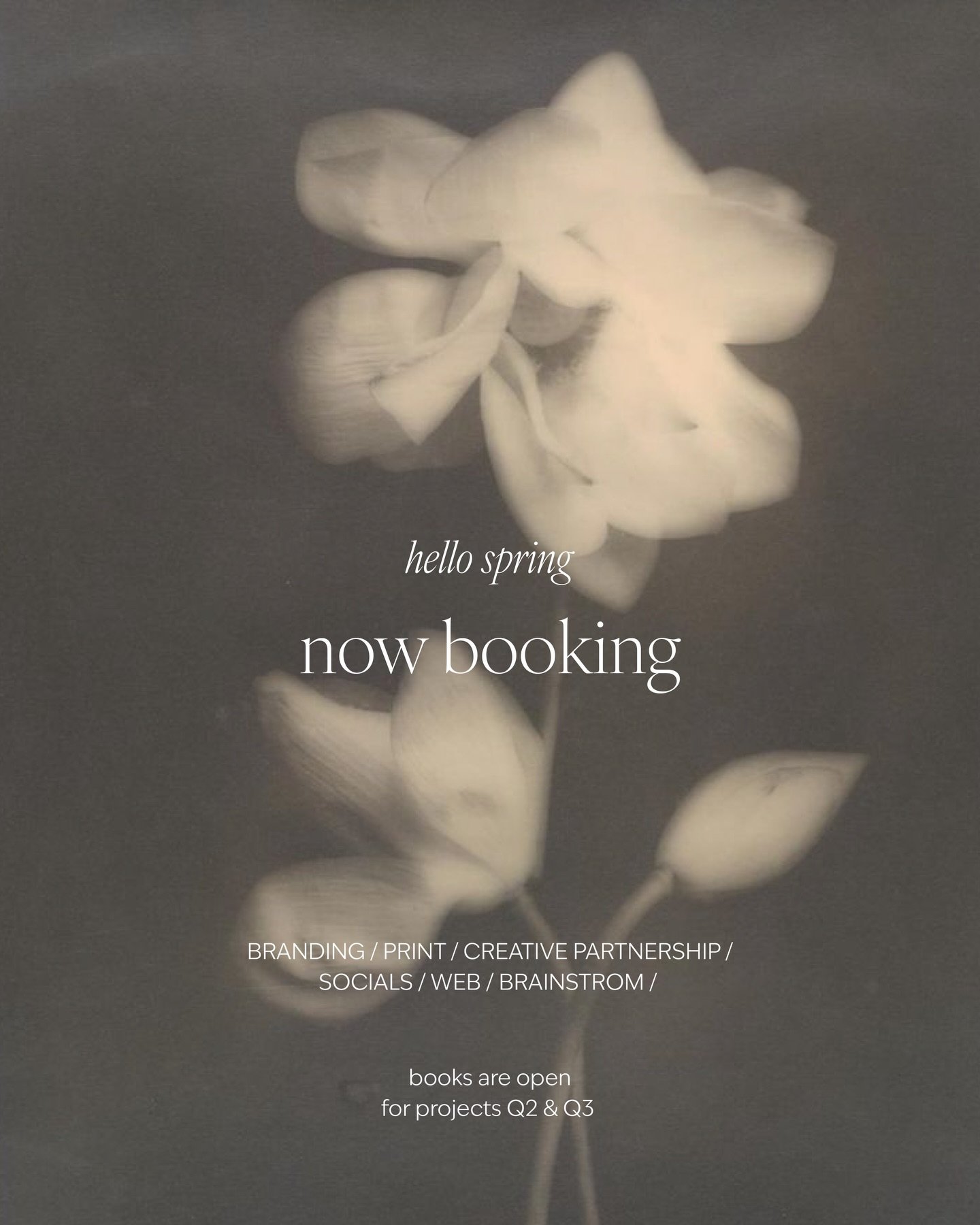 Hello spring 𓂅
The books are open now.

3 spots available for Q2 𓂃

Feel the call? 
Say hello@linehoremans.be