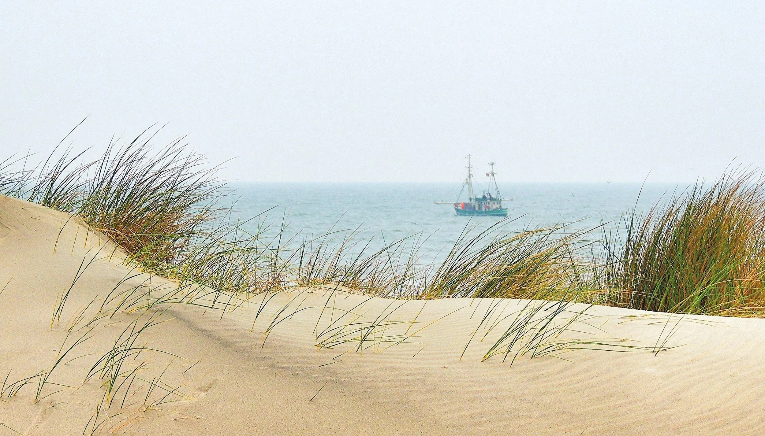 Nordseeküste mit Dünen und Dünengras in Dithmarschen und Nordfriesland