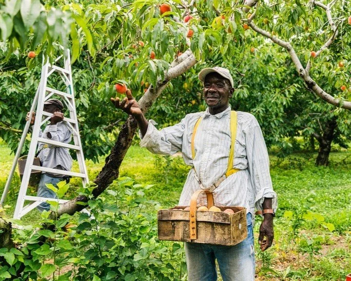 🌿 Telling stories. That's what I love to do. Over the past few weeks, I've been sifting through years of my own photography, realizing that what I held weren't just images but so many stories. I walked through those images and it felt like a path ma