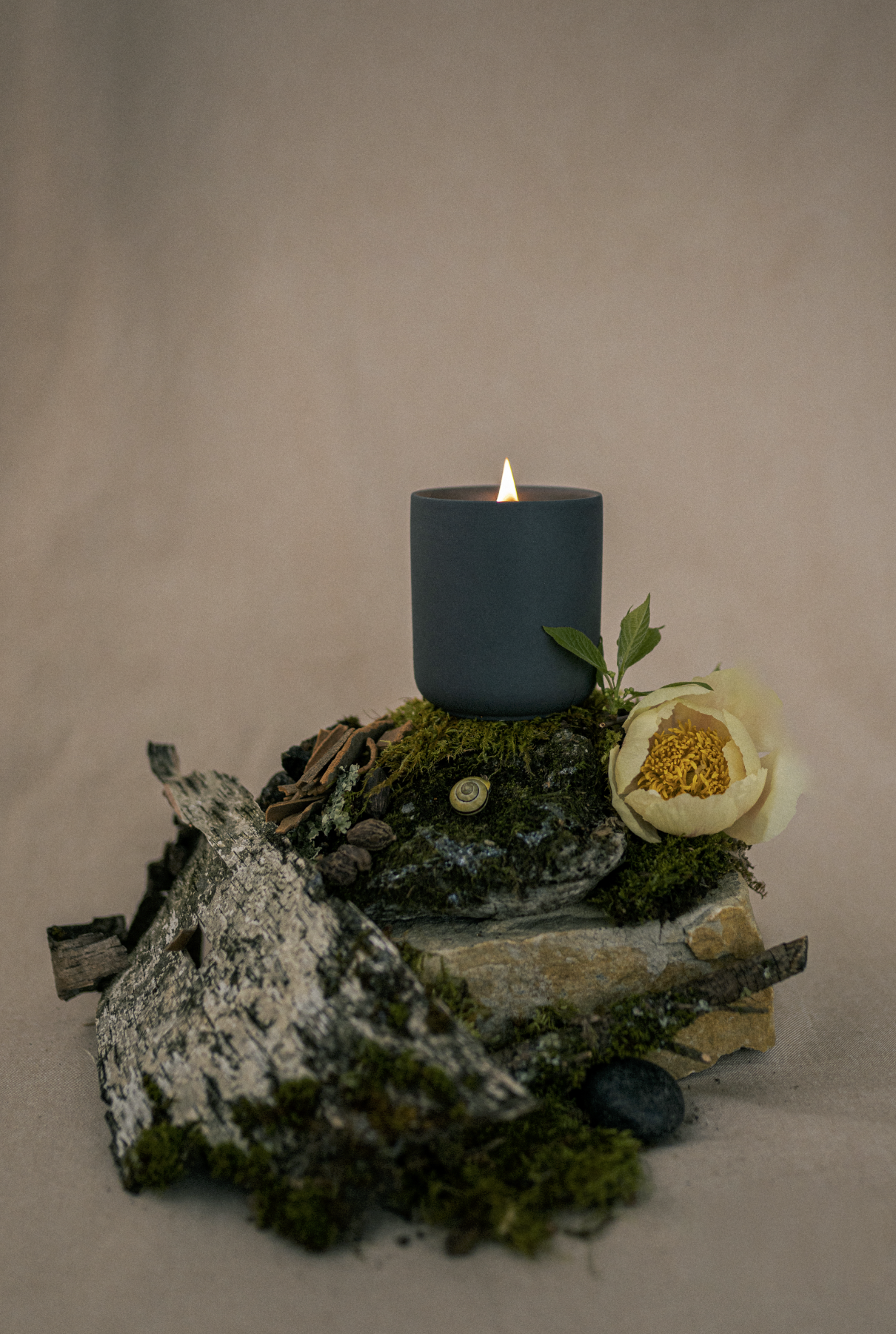 BRAND PHOTOGRAPHY.png