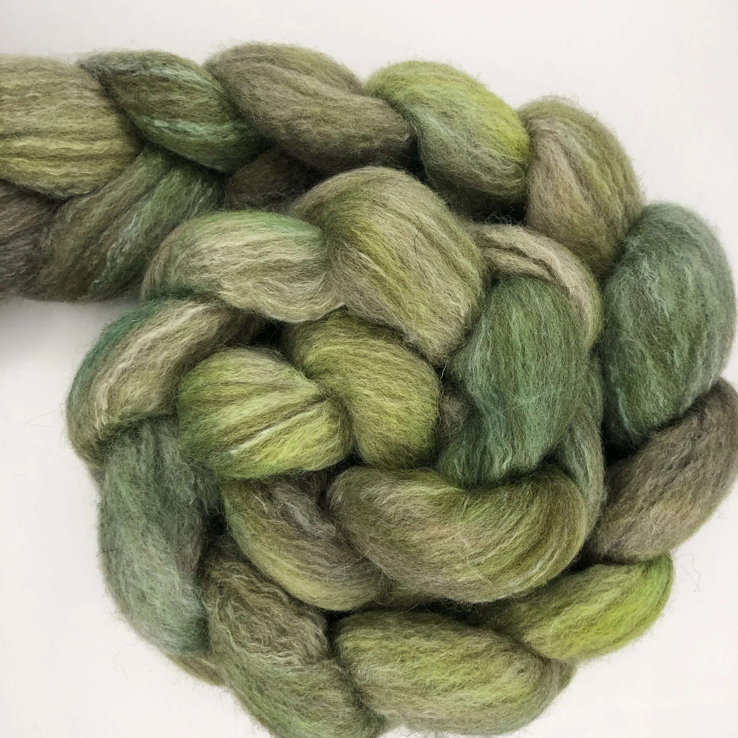 Sea Turtle 4 oz BFL/Lotus Combed Top