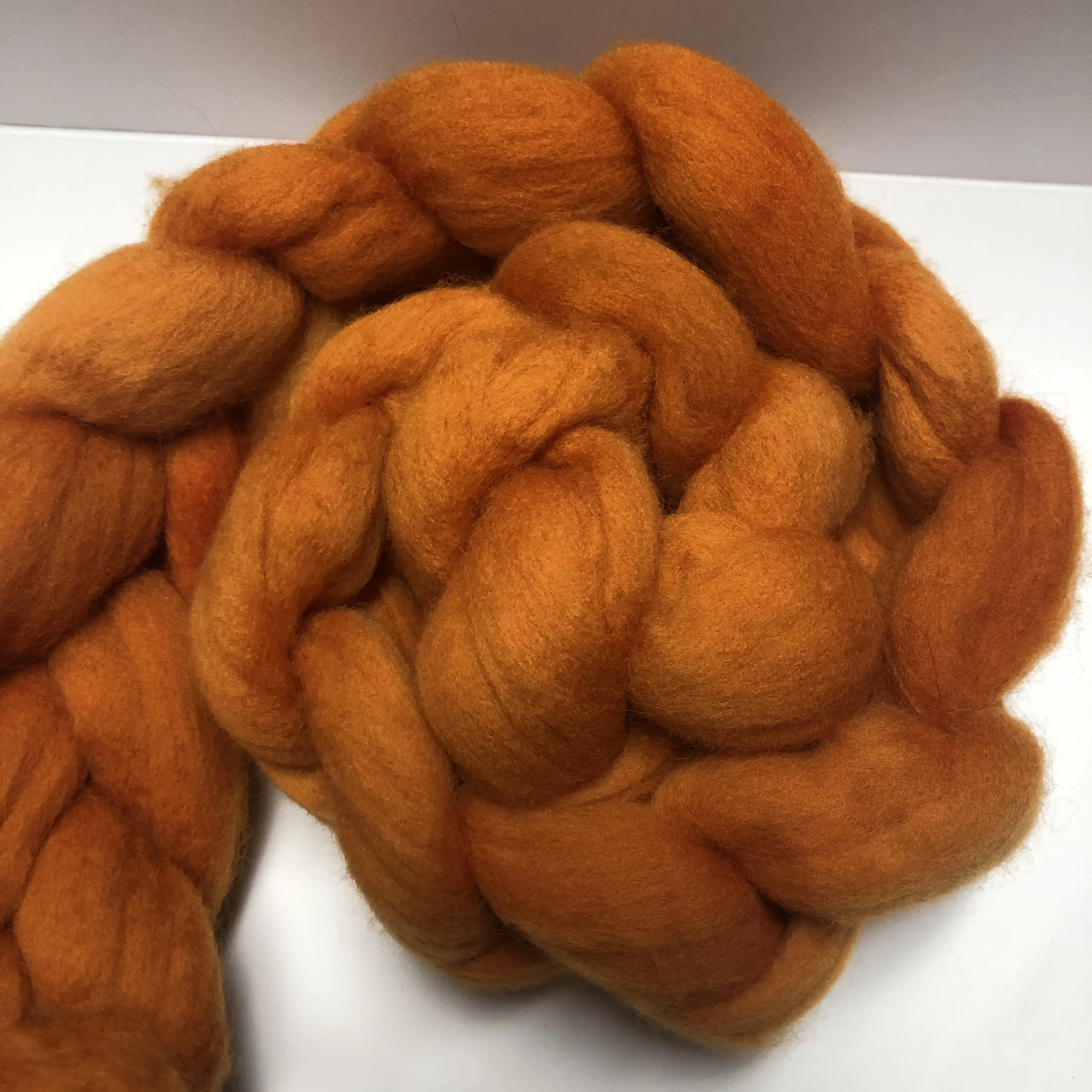 Pumpkin Spice is Nice 4 oz Cormo Combed Top