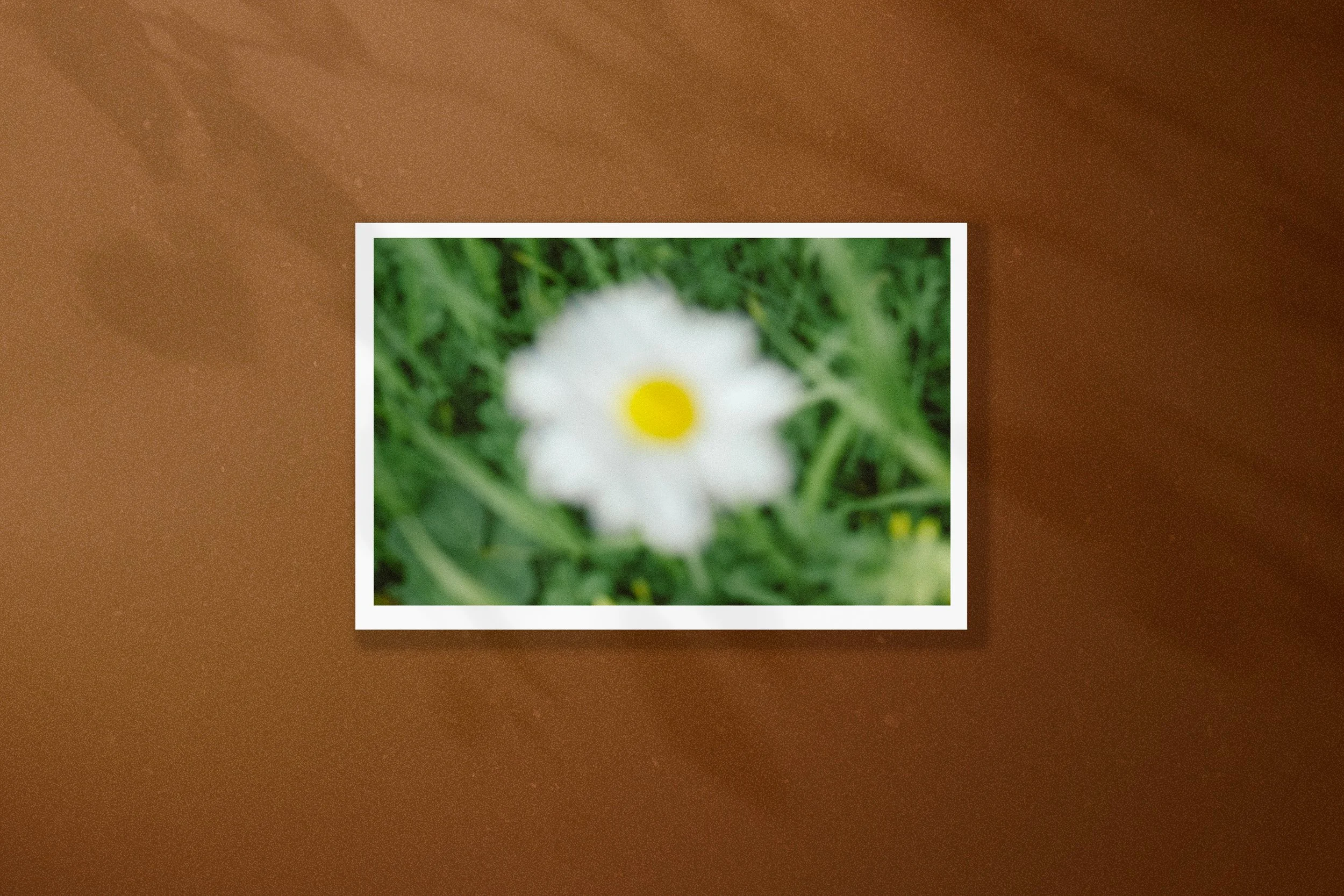 Flower Power