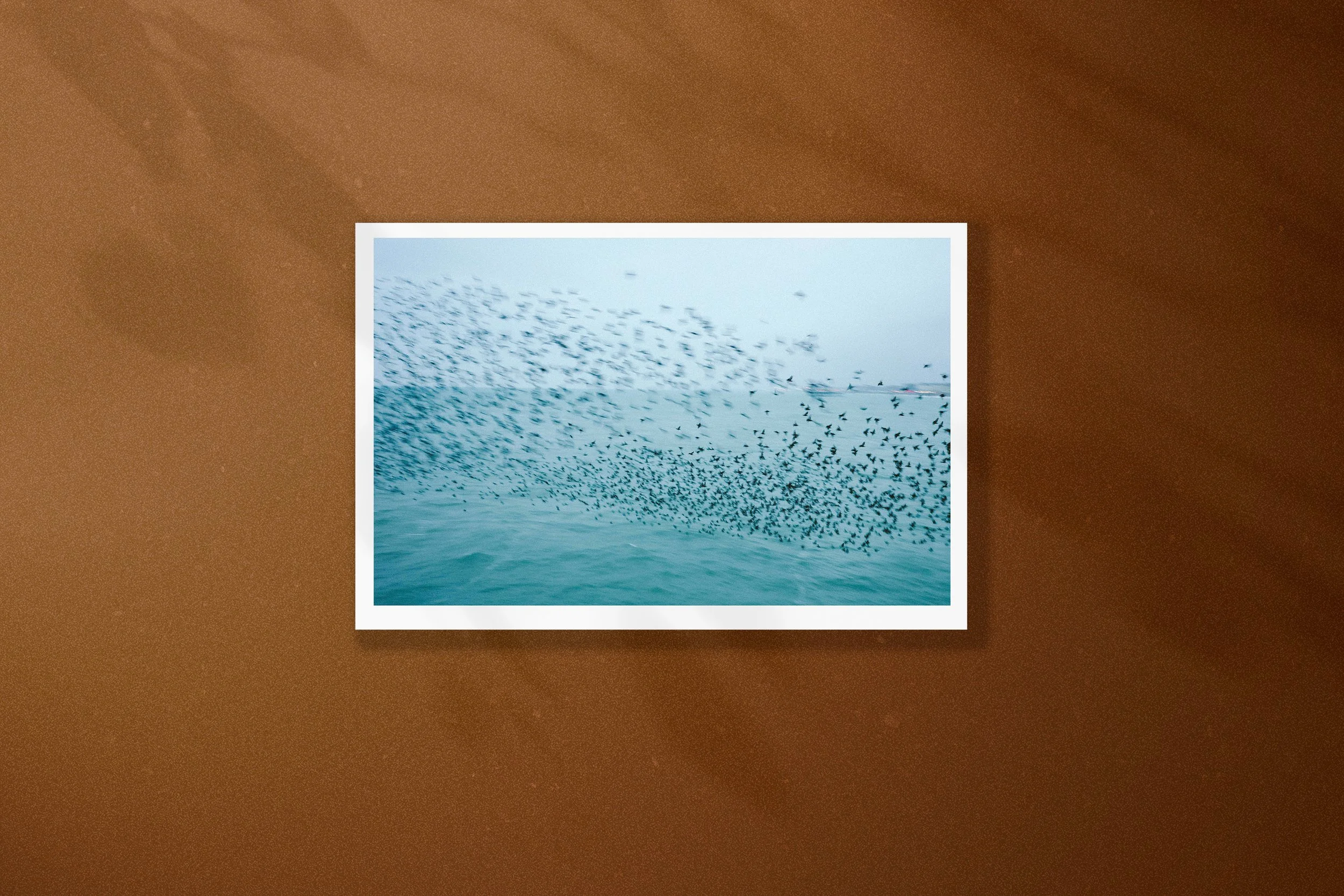 Les oiseaux