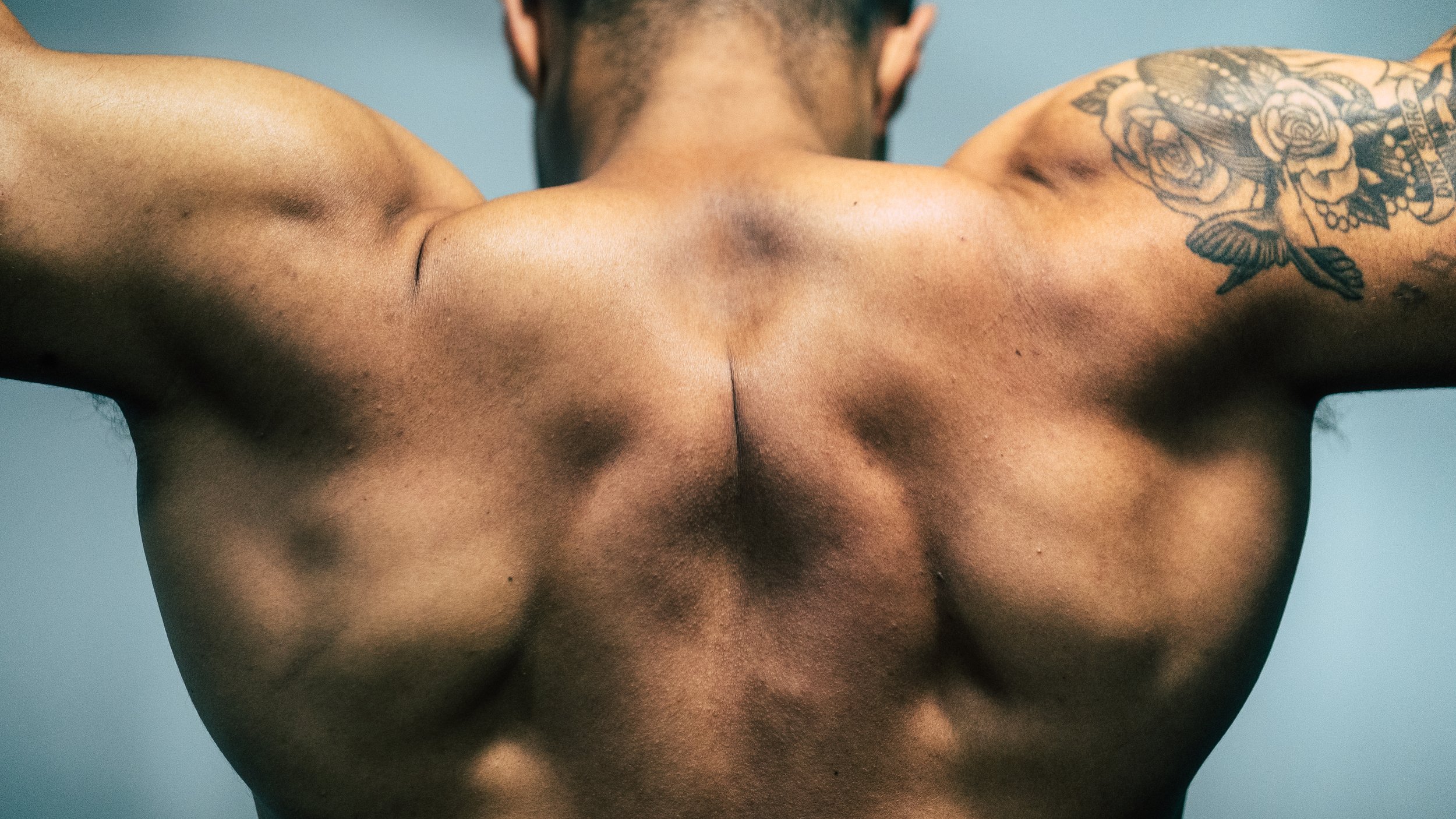 NO number plates-20.jpg