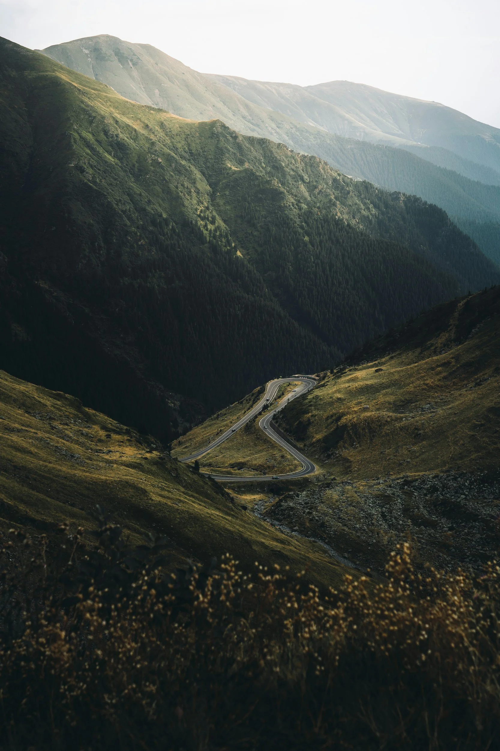 A mountain road winding through lush green mountains with a dense forest and misty peaks in the distance.