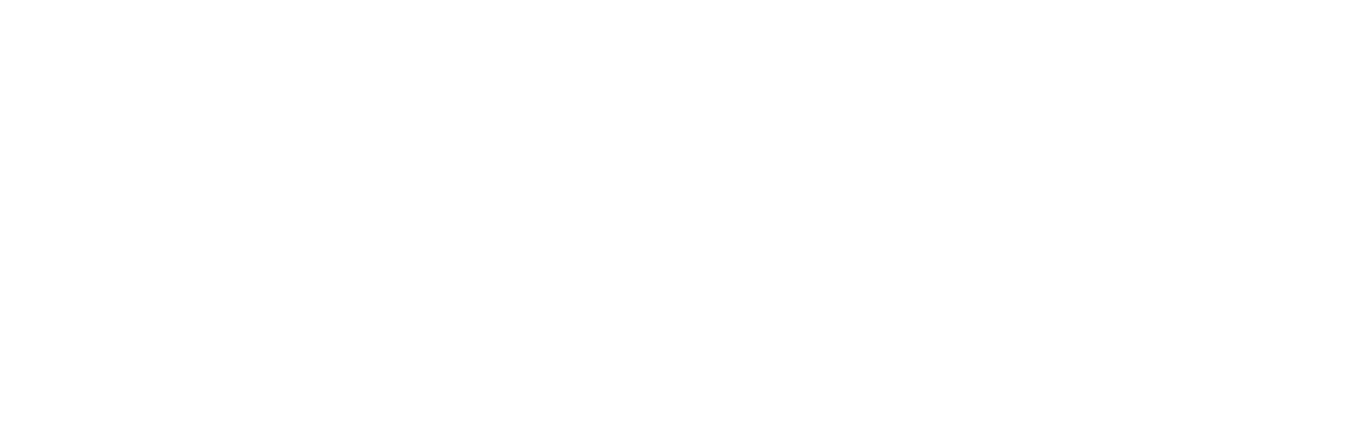 Leadership Immersion