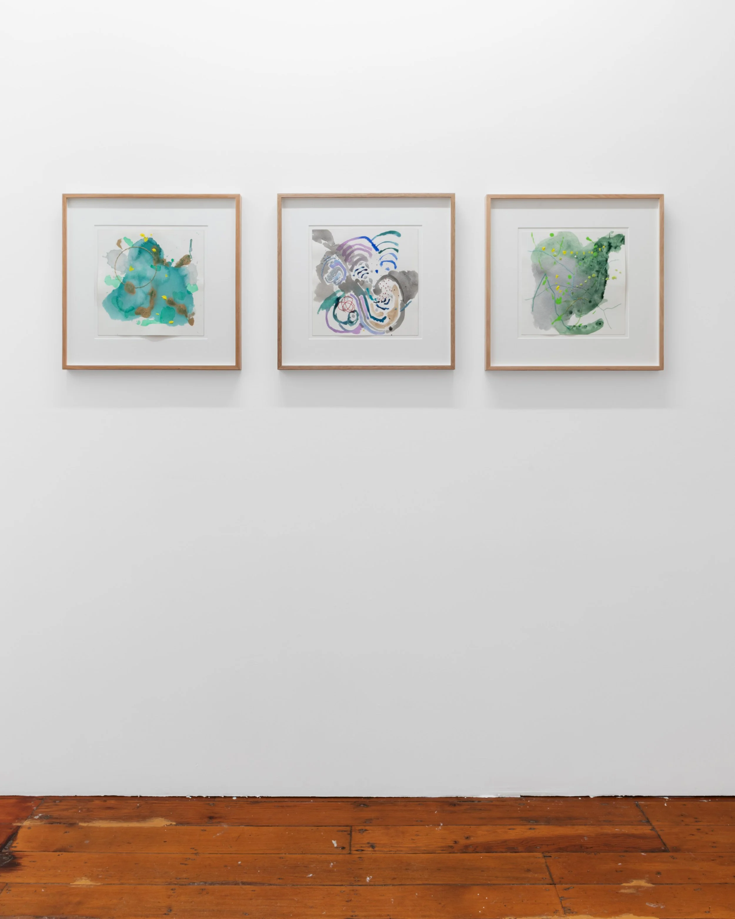 JESSICA RANKIN_  Notes from an Earlier Sky_051.jpg
