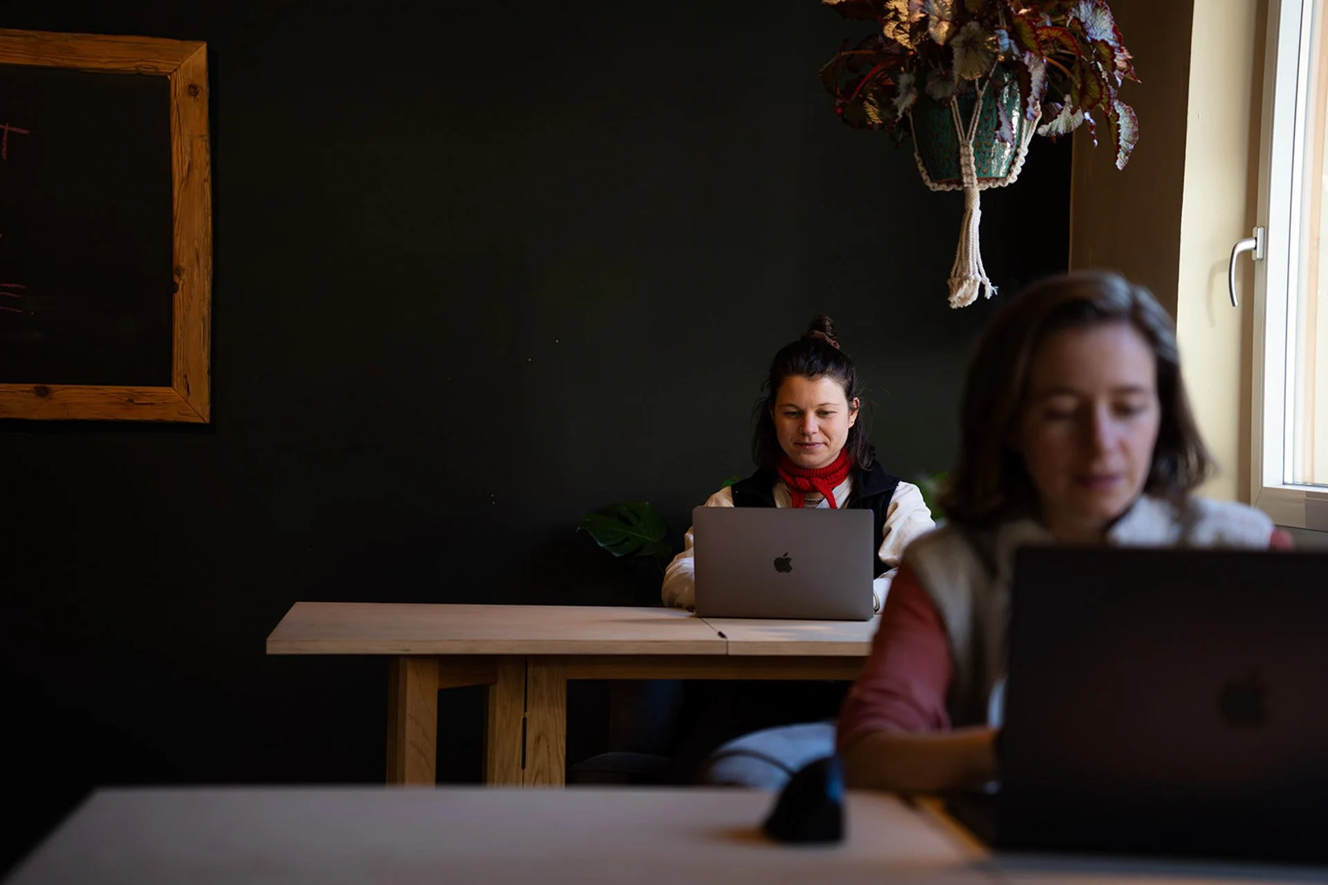 Zwei Frauen arbeiten an Laptops in einem Raum mit dunklen Wänden, hellem Fenster und einer Blumenampel an der Wand.
