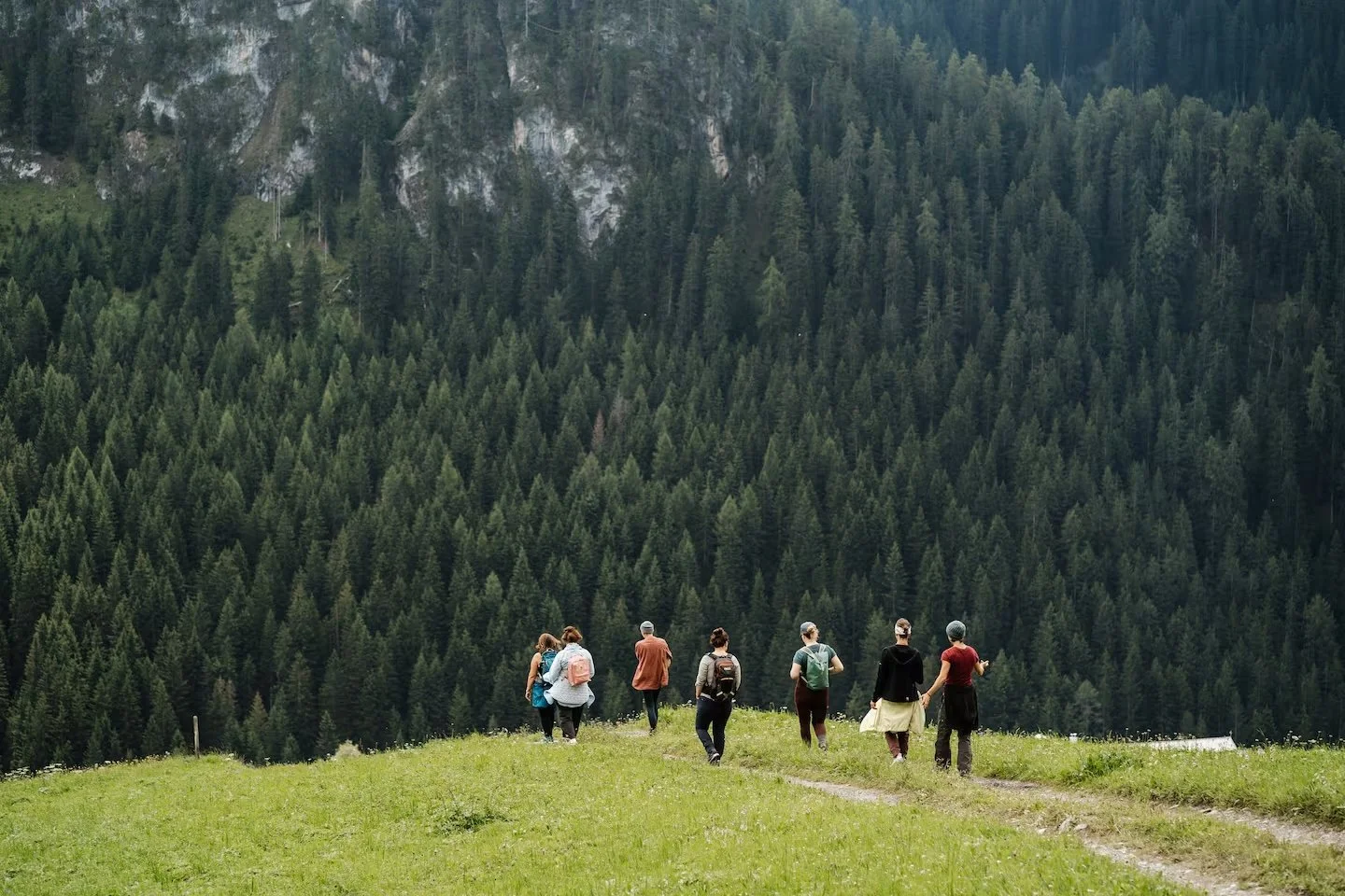 Sieben Personen wandern auf einer grünen Wiese inmitten eines dichten Nadelbaumwaldes in den Bergen.