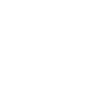 LSMC