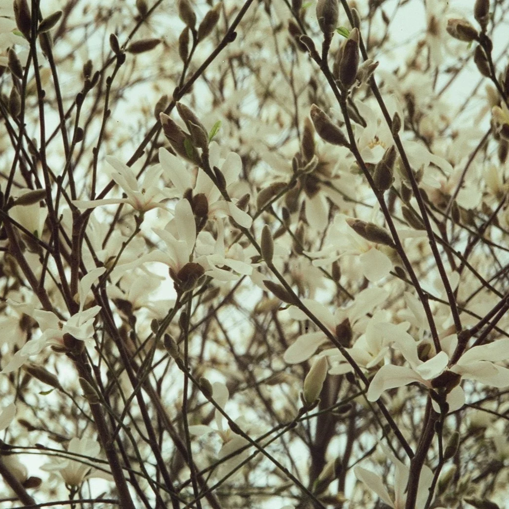 IMG_8398.png