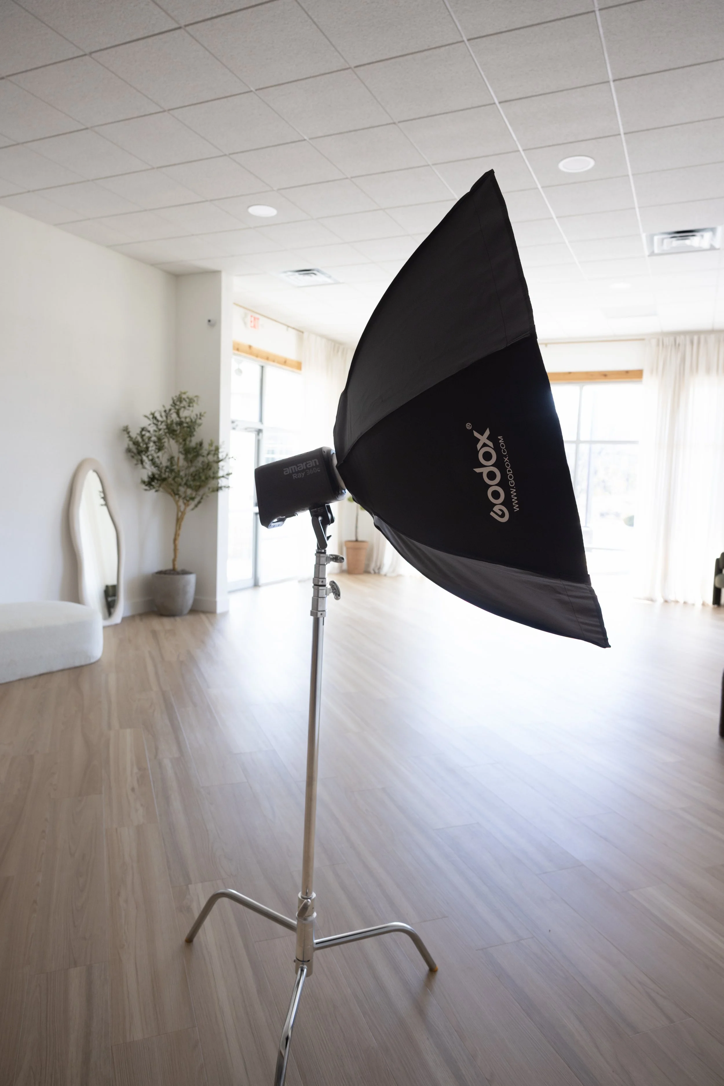 Amaran Ray 360c + Godox Octa Soft Box (47")