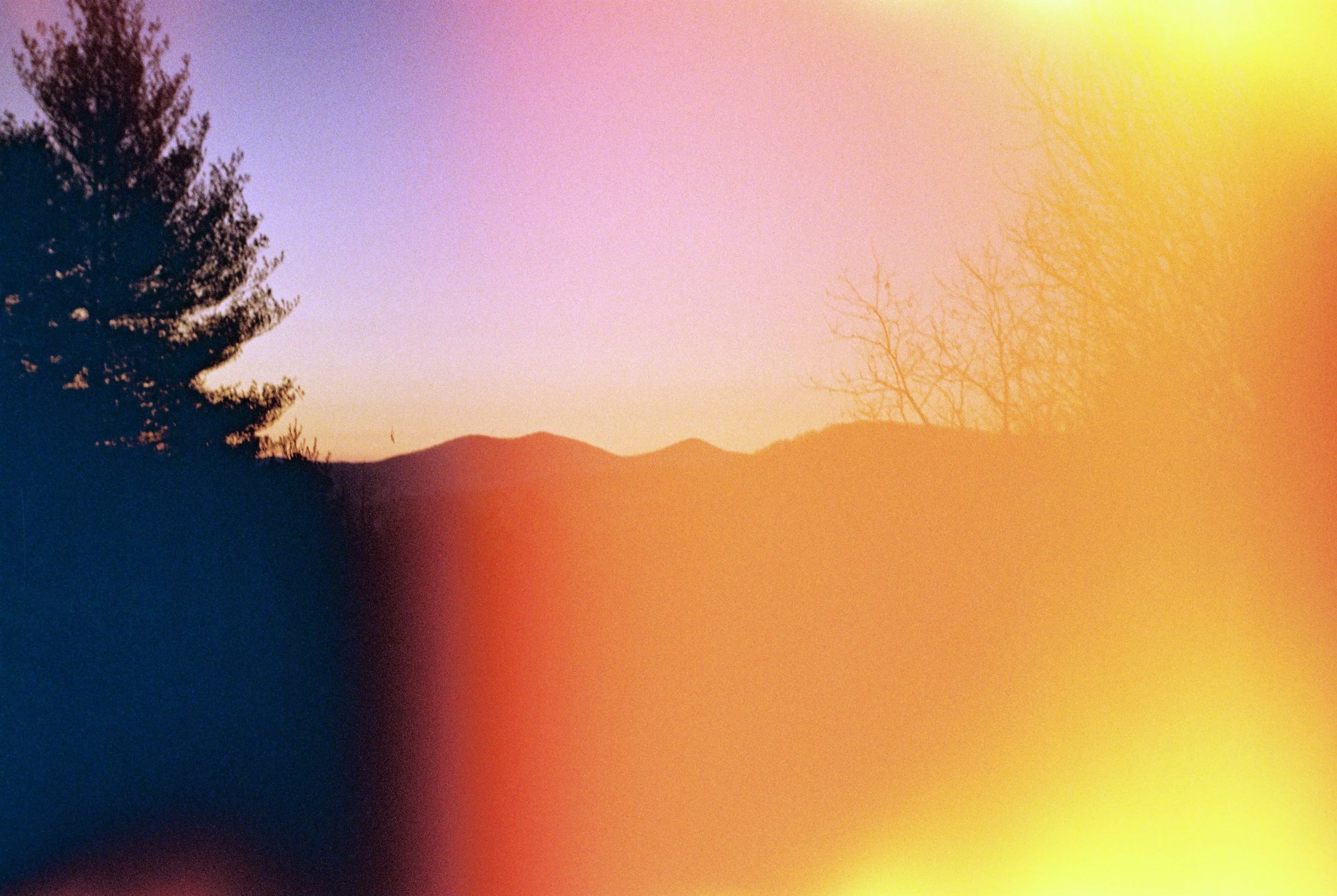 PP_003_005.JPG