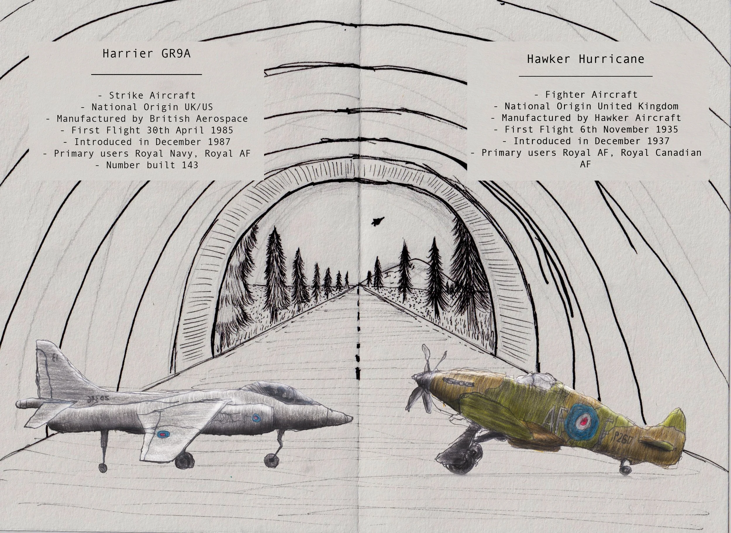 Harrier and Hawker - psd 2compressed.jpg
