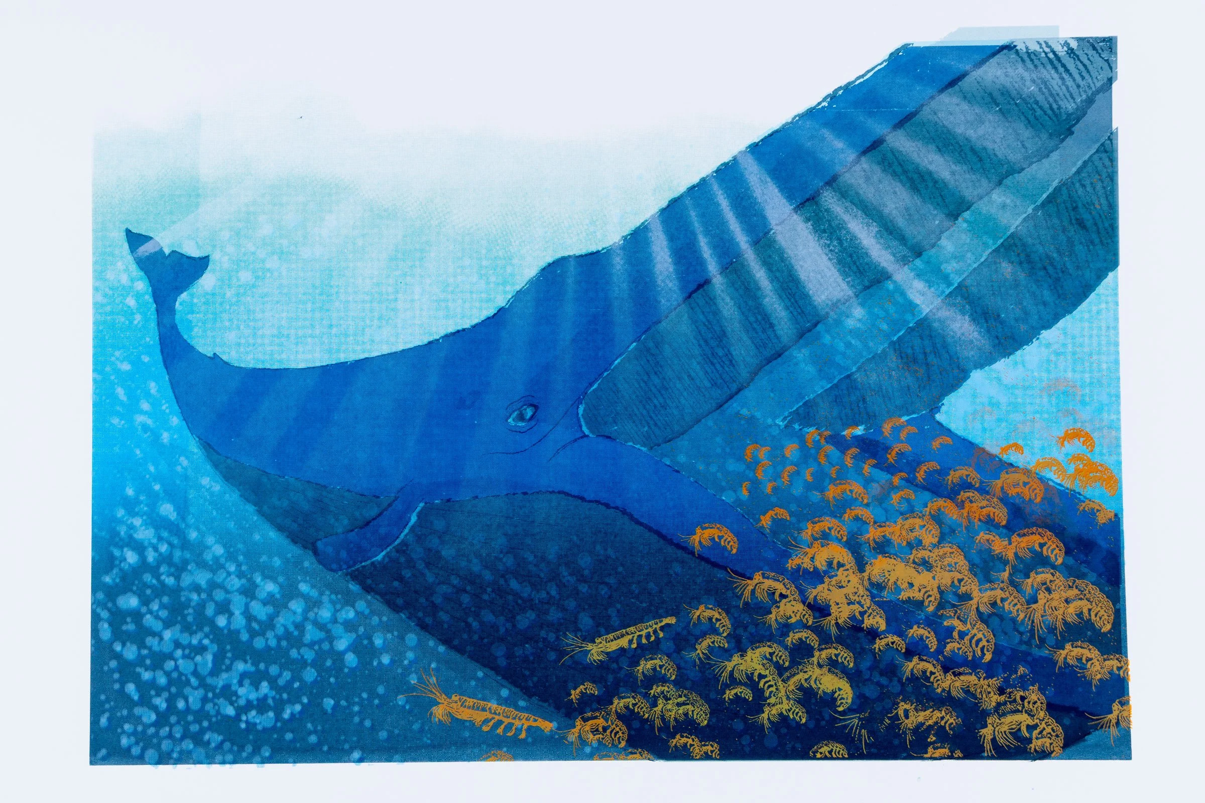 Whale-2.jpg