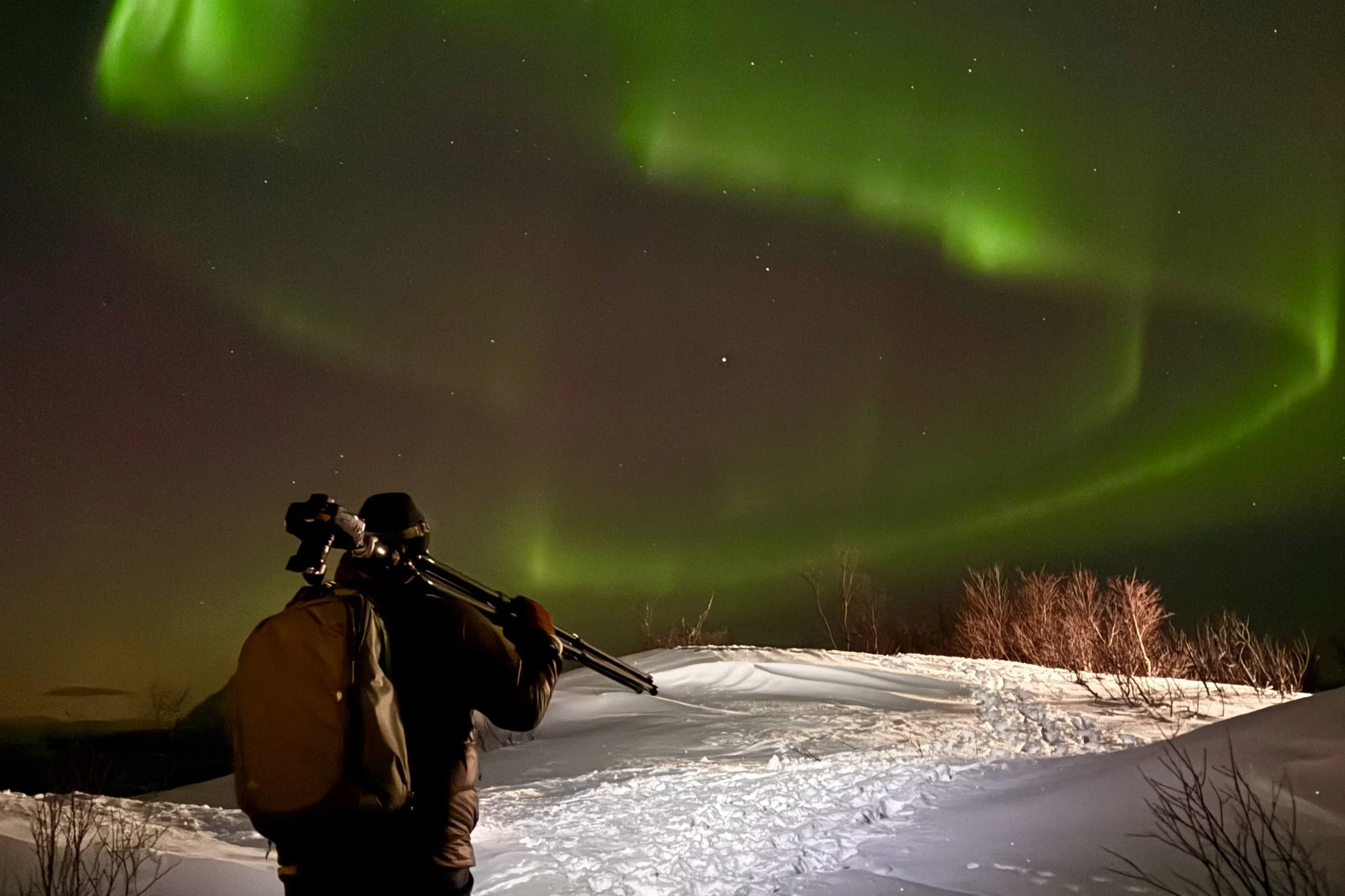 Arctic Photography Experience (Nov, Dec & Jan 2026/27)
