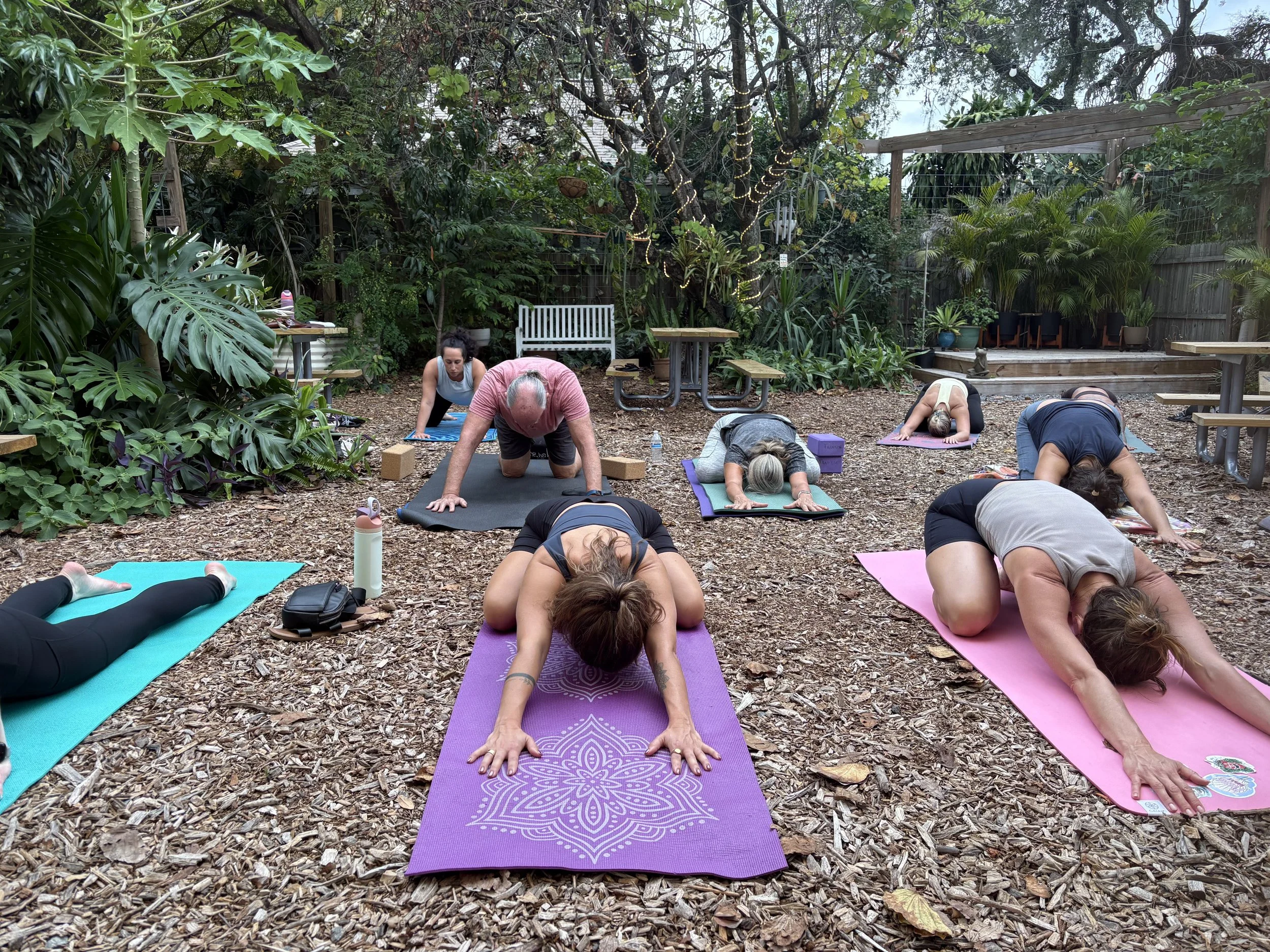 kundalini yoga beech kombucha
