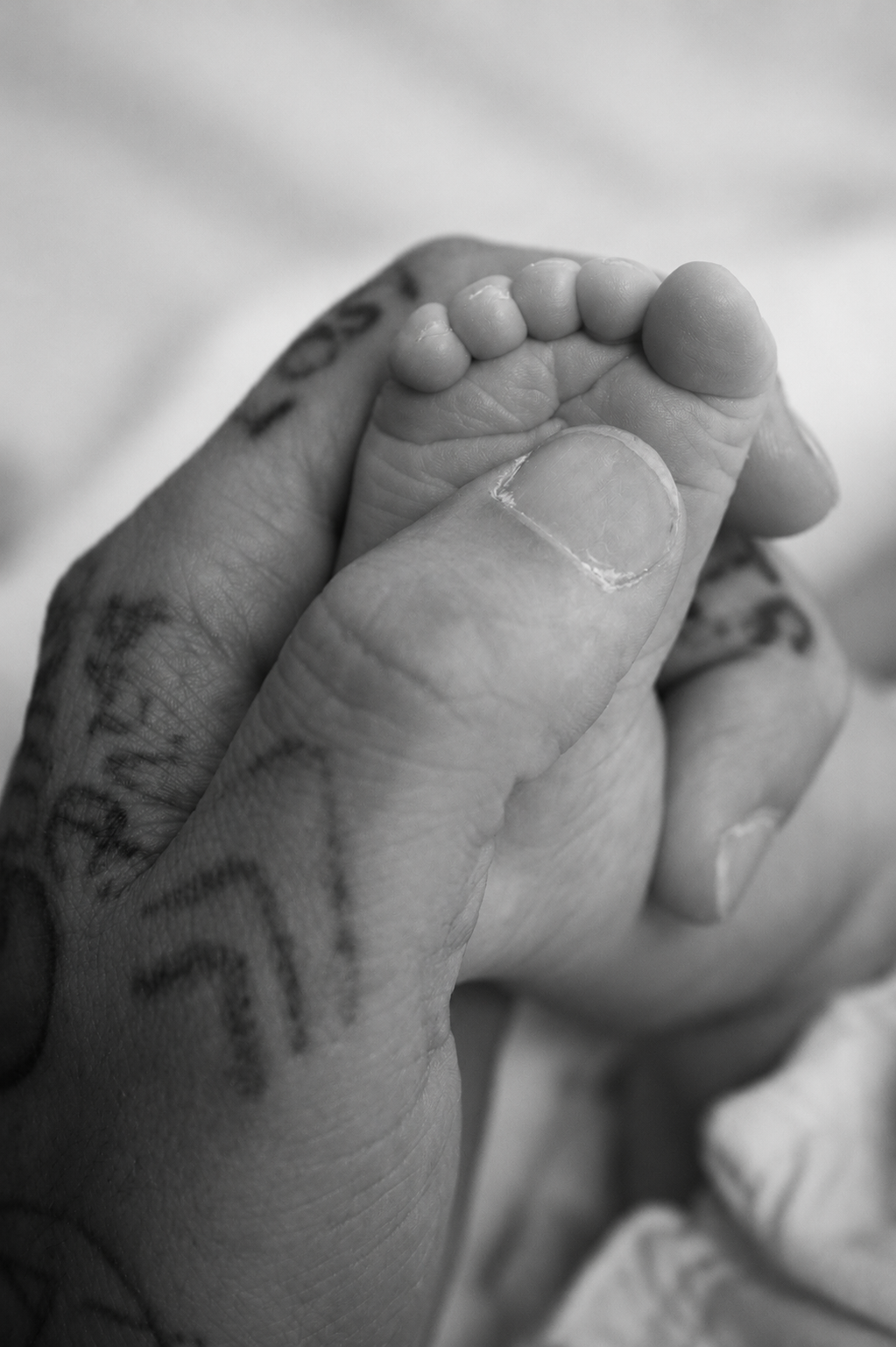 Close-up black and white photo of an adult hand holding a tiny baby's hand.