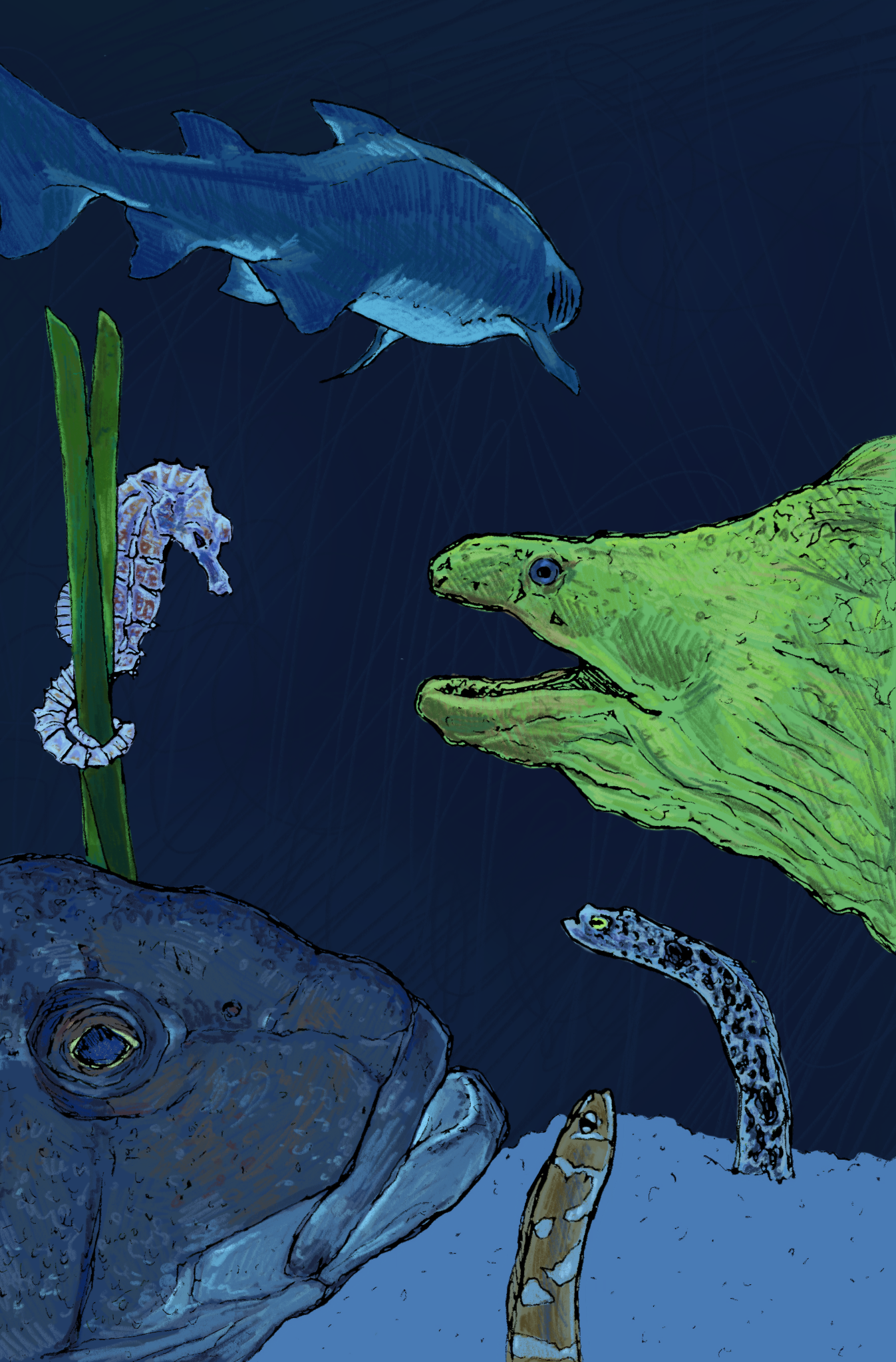 Untitled_Artwork+7+copy.png
