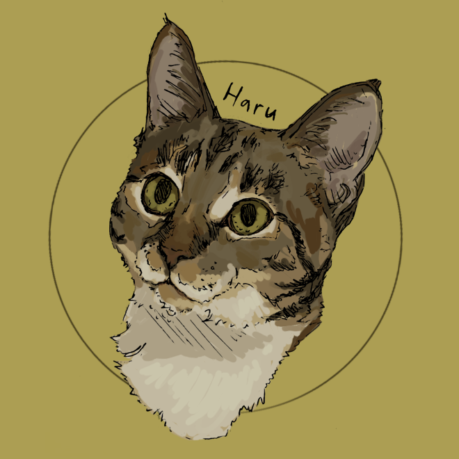 Untitled_Artwork 5.png