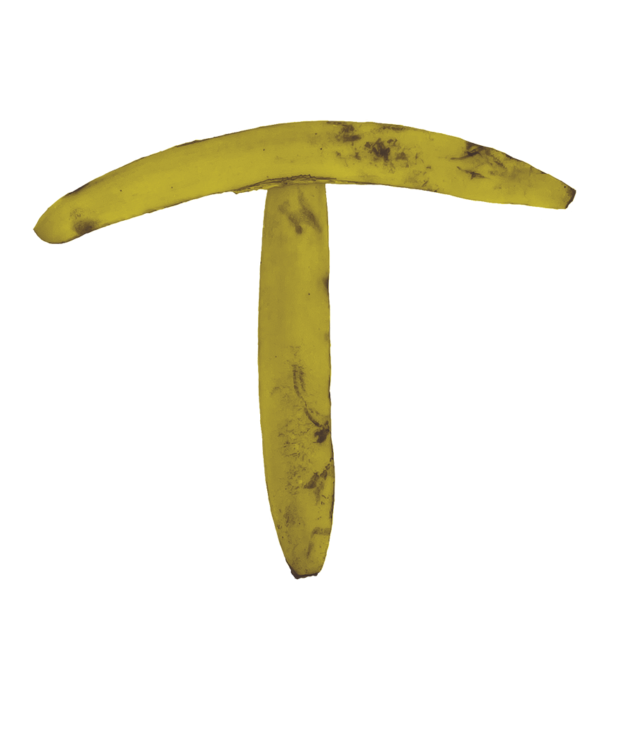 tt.png