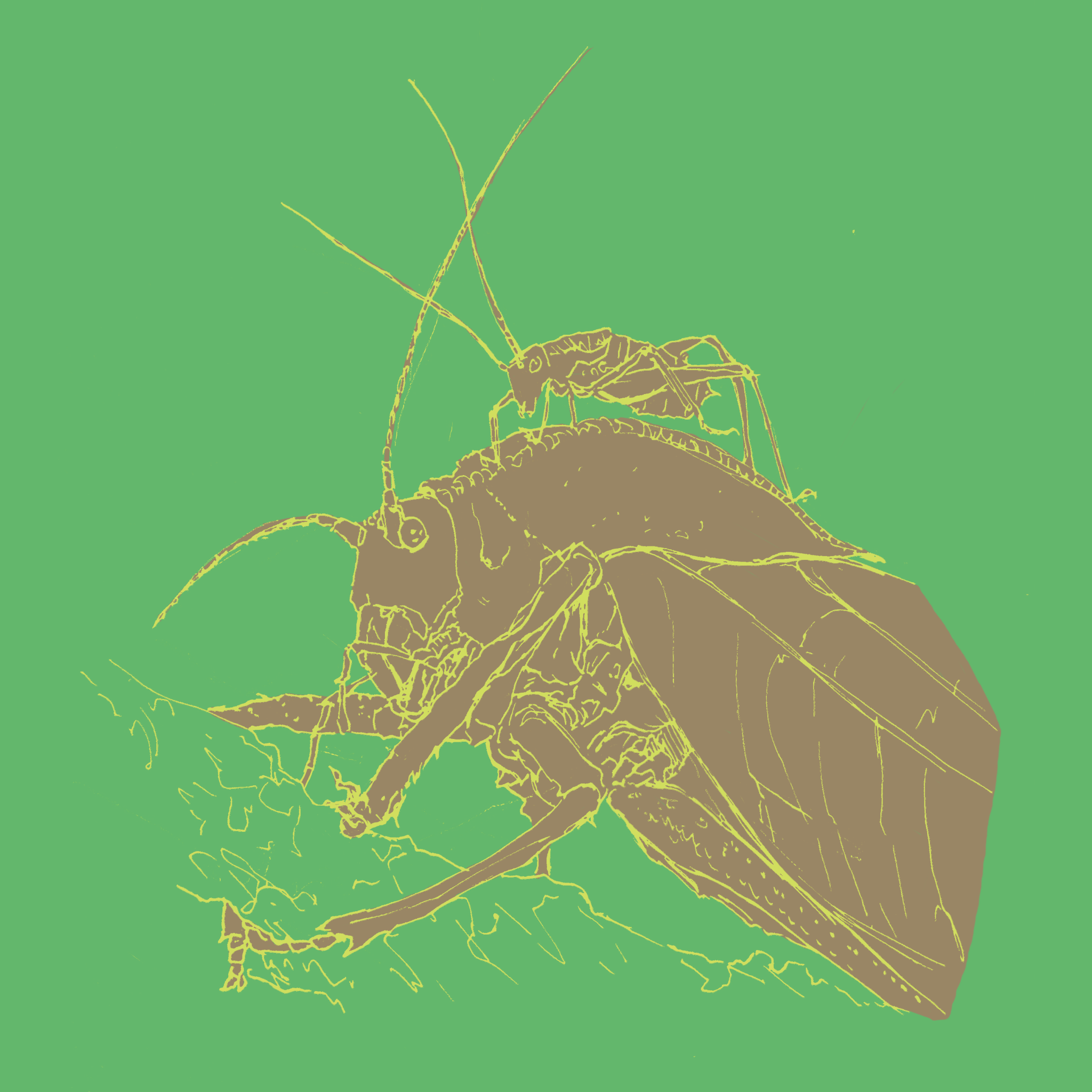 Untitled_Artwork 1.png