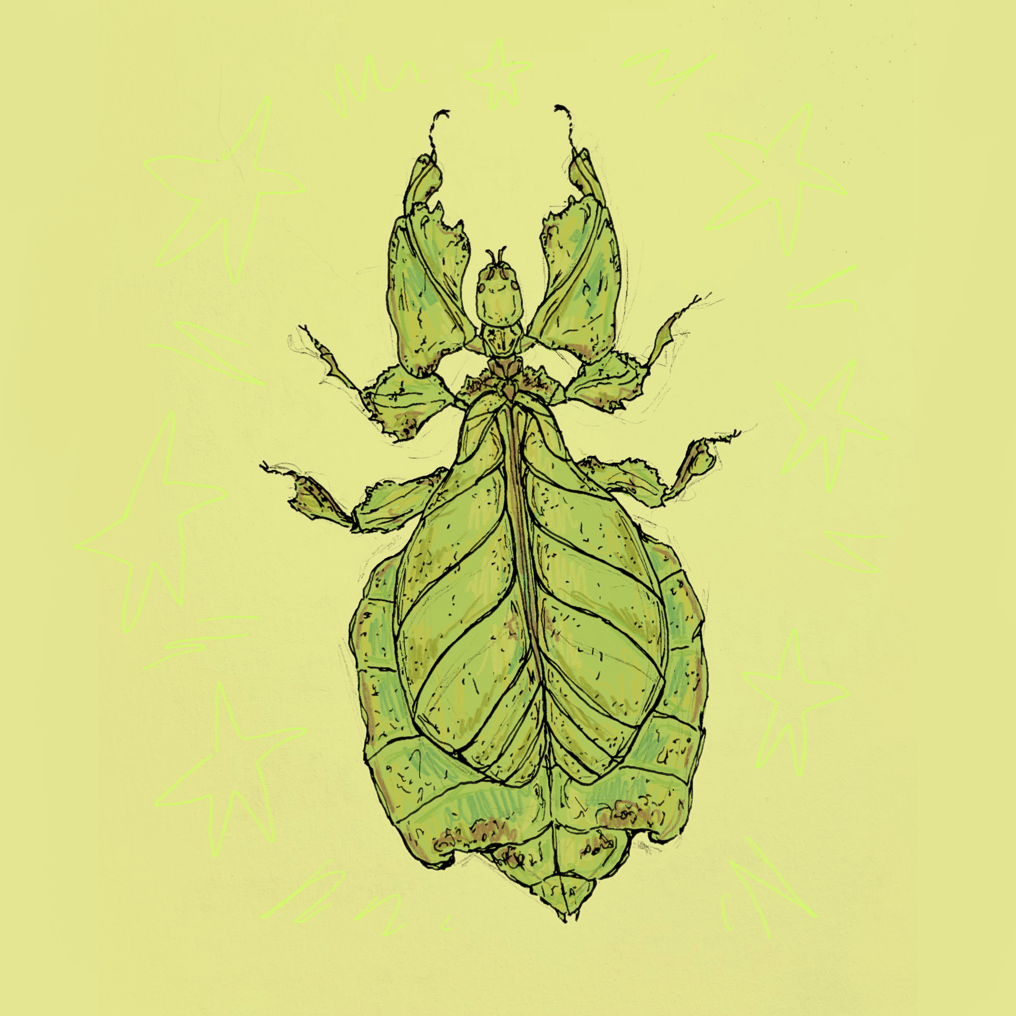 Untitled_Artwork 5.png