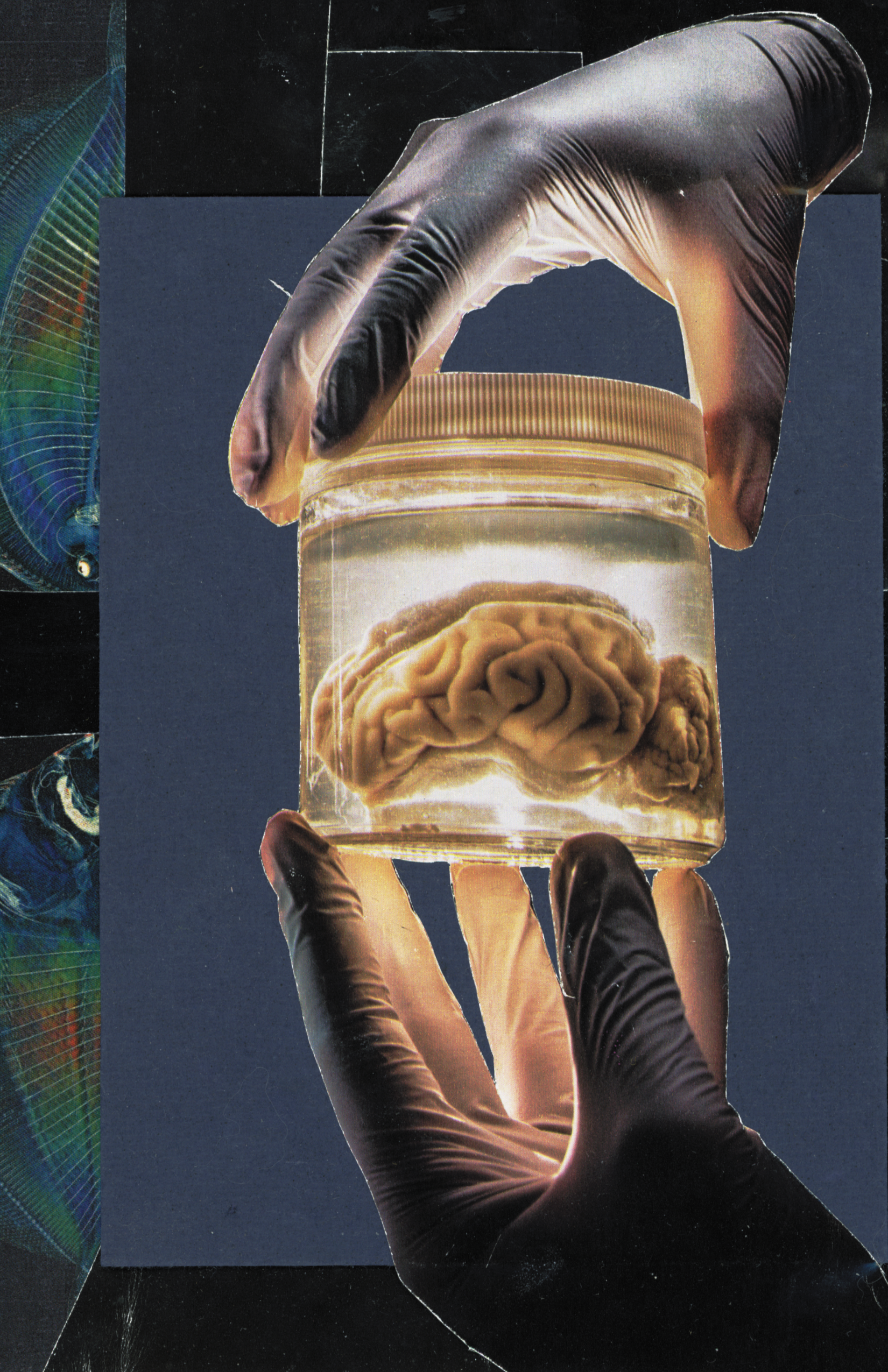 liberation_zine11.png