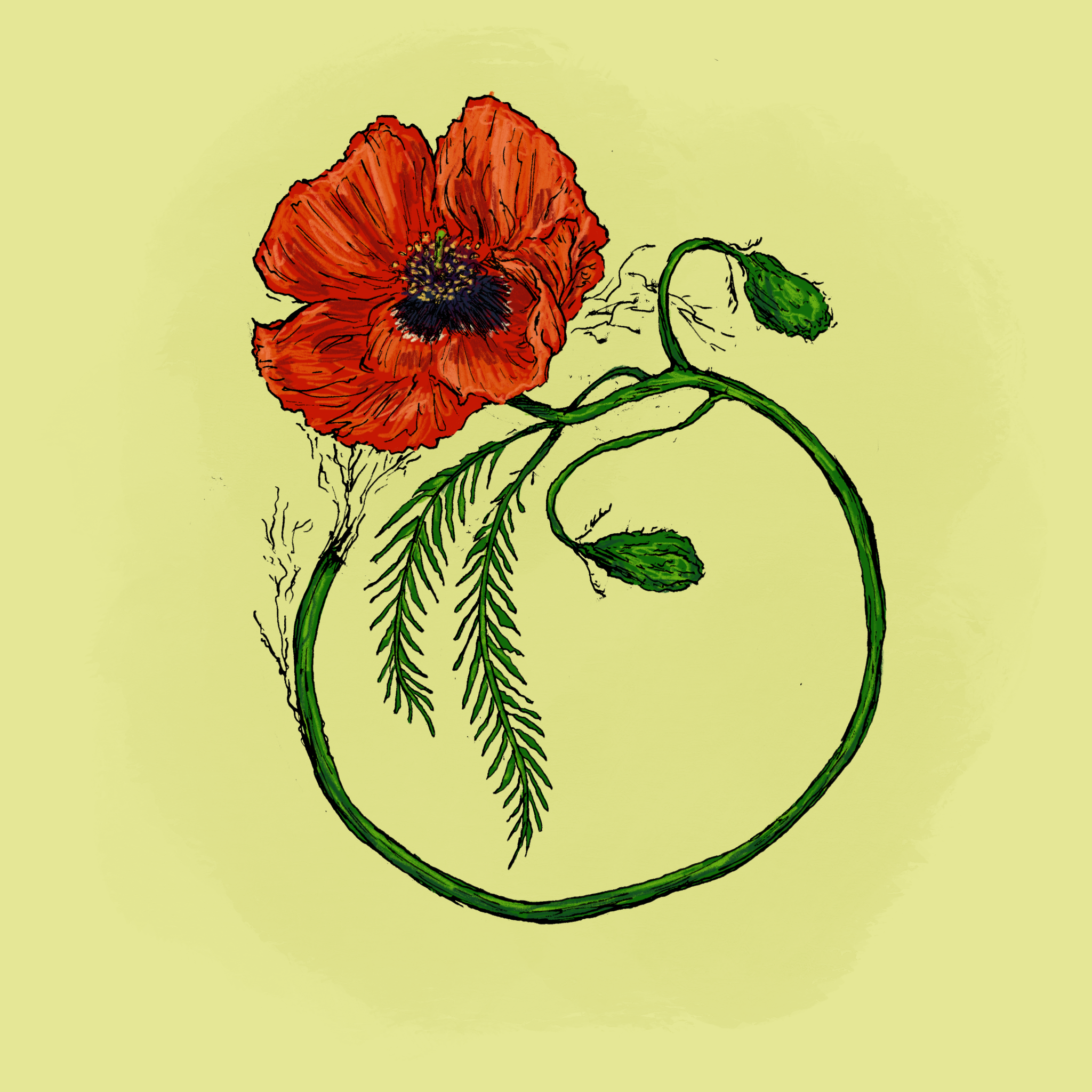 Untitled_Artwork 6 copy.png