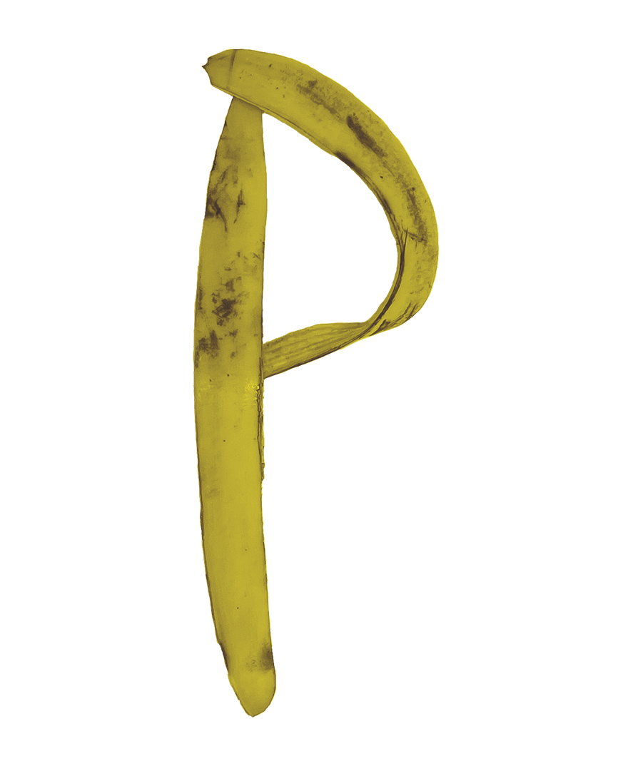 pp.png
