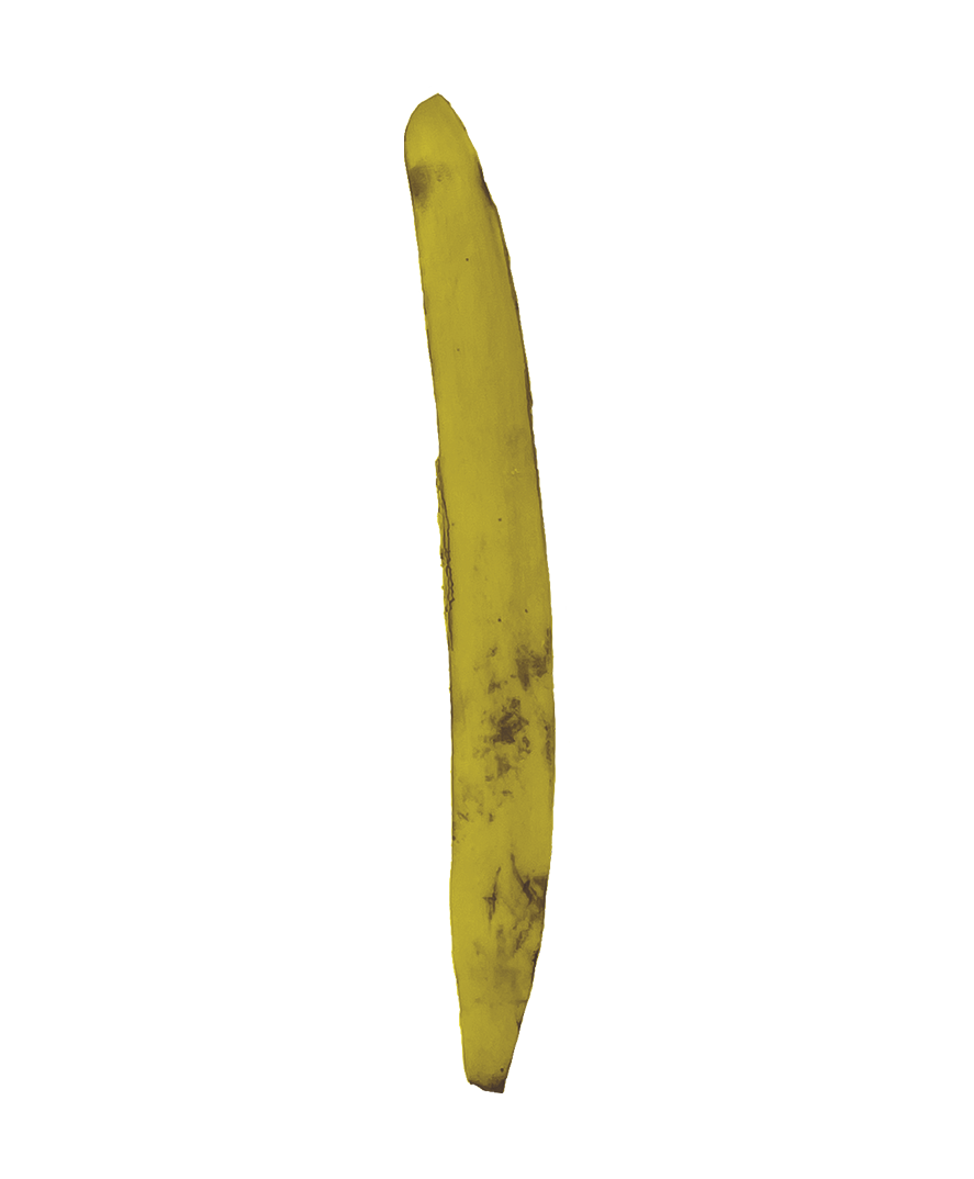 ii.png