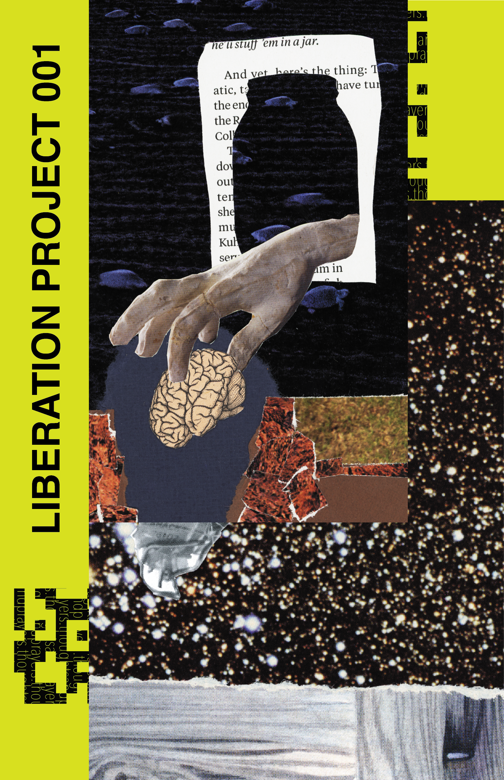 liberation_zine.png