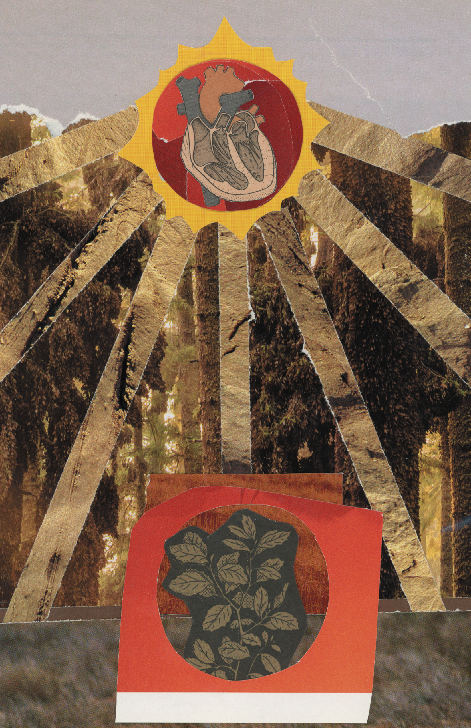 liberation_zine14.png