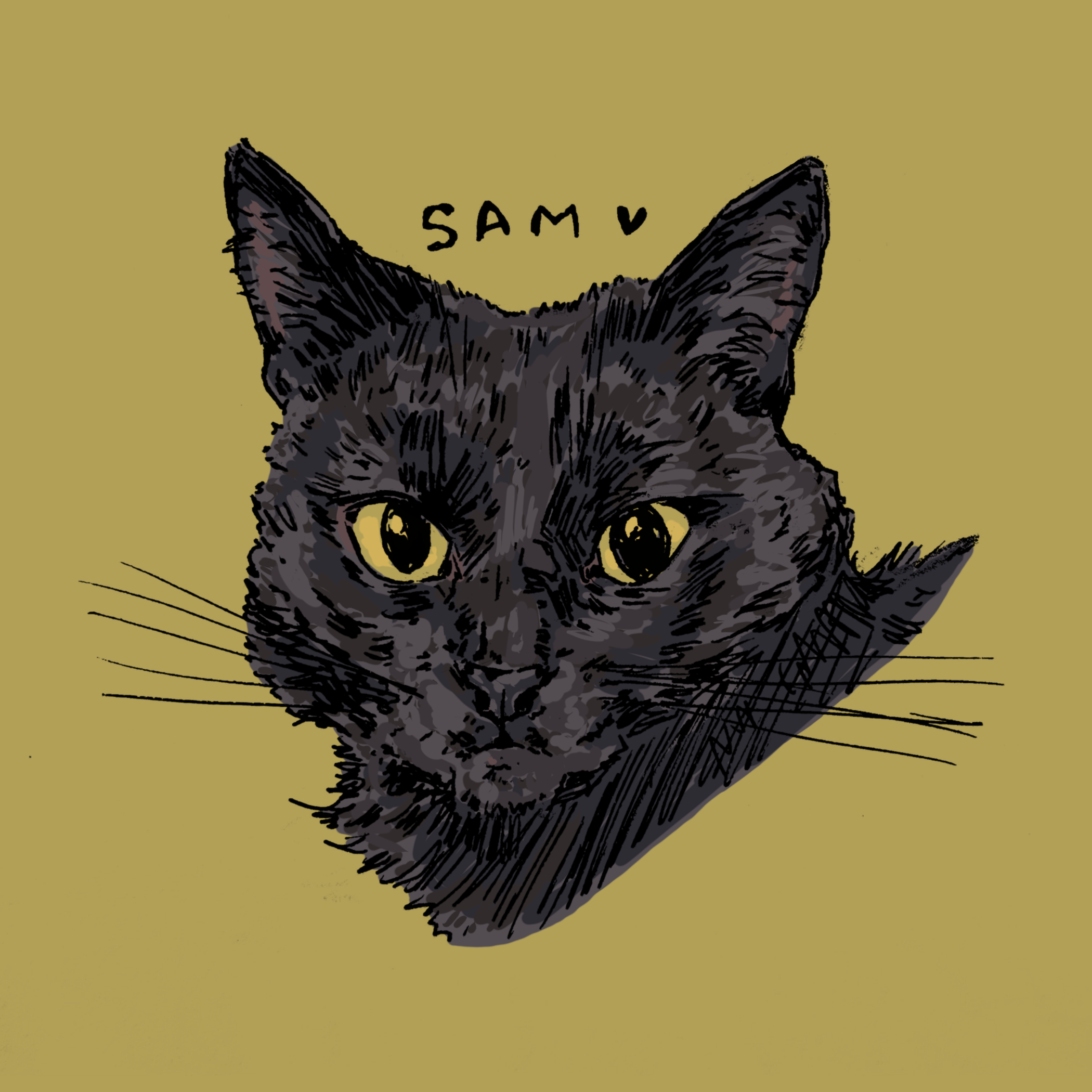 Untitled_Artwork 2.png