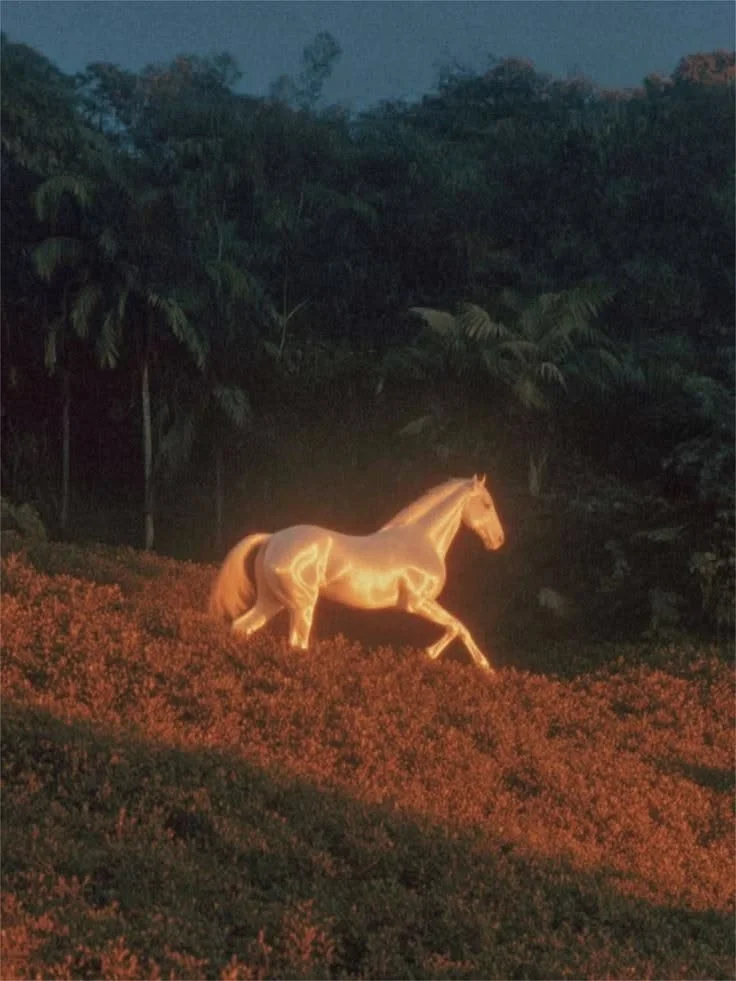 FIRE HORSE.