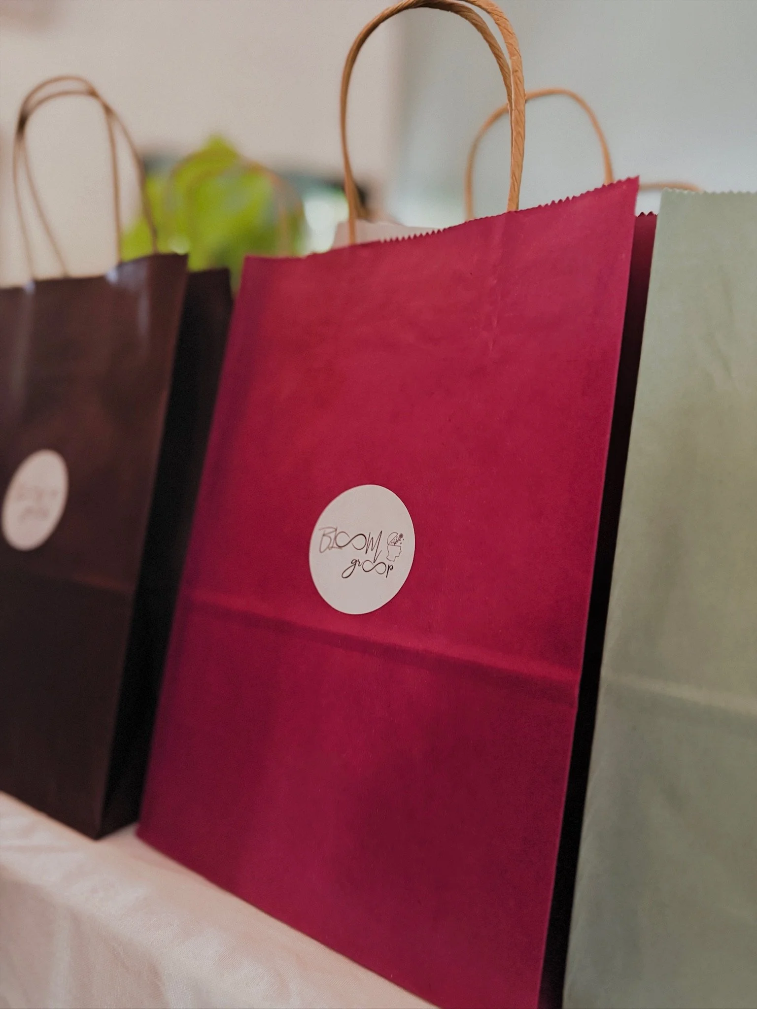 Close-up of pink paper gift bag with the logo 'Bloom & Grow' in a white circle, next to a dark brown bag with a similar logo, both with twisted paper handles.